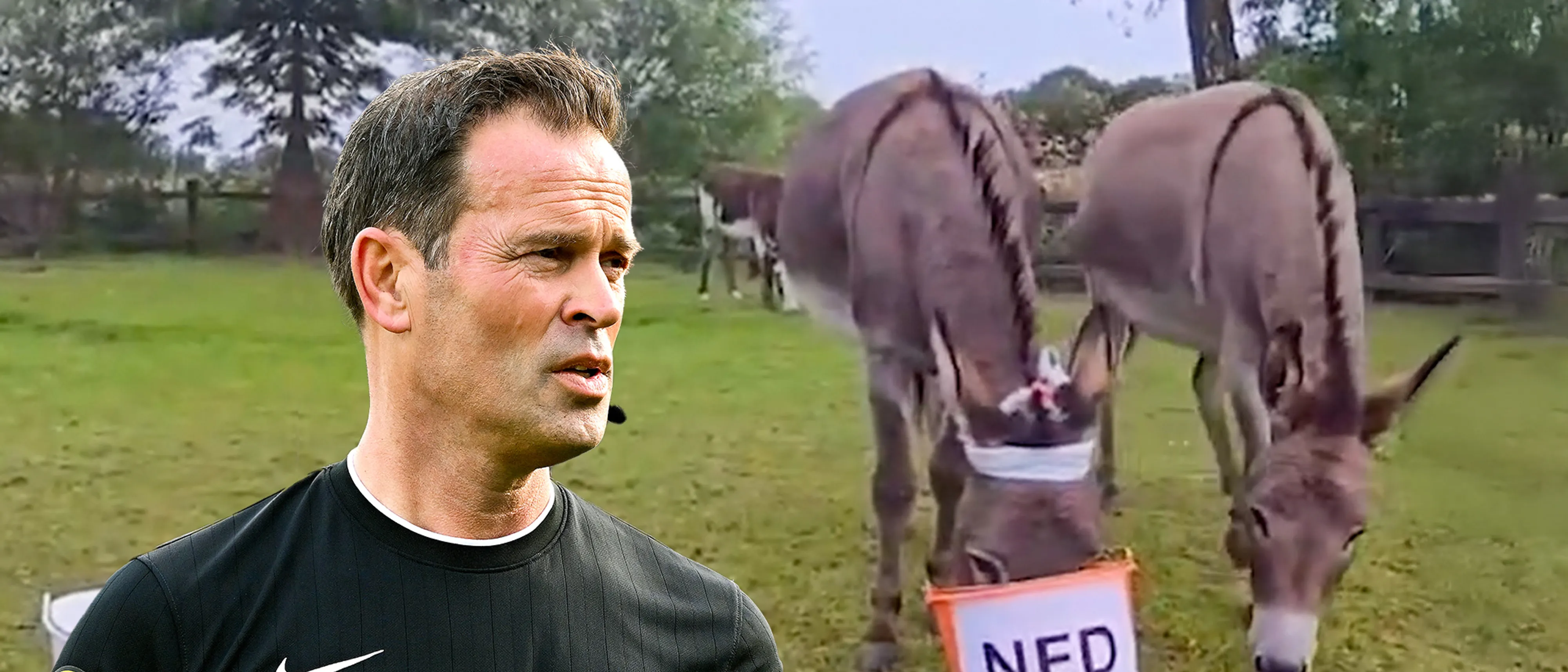 De ezels van Bas Nijhuis