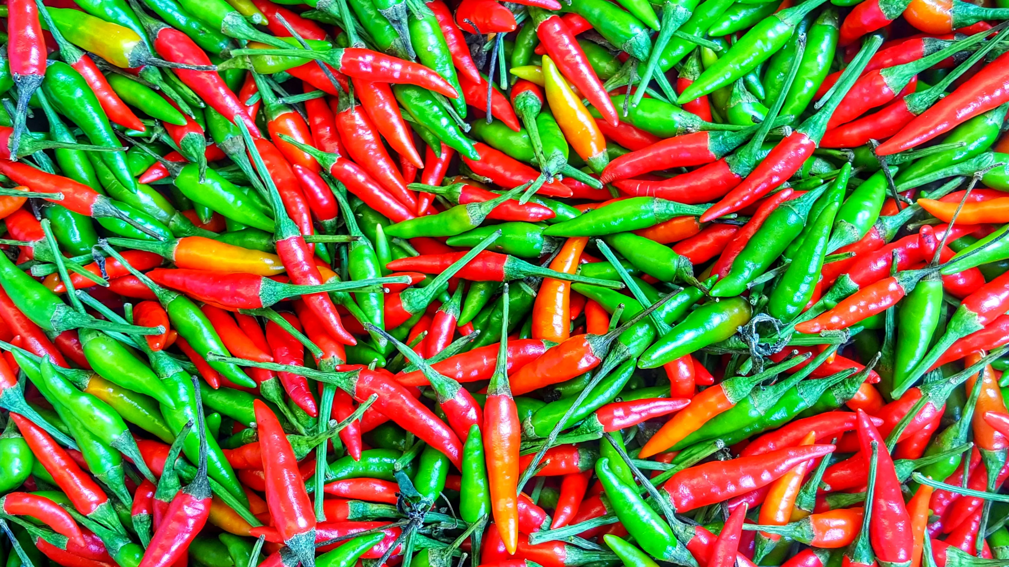Rotterdamse portiekwoning ontruimd vanwege... SAMBAL!?