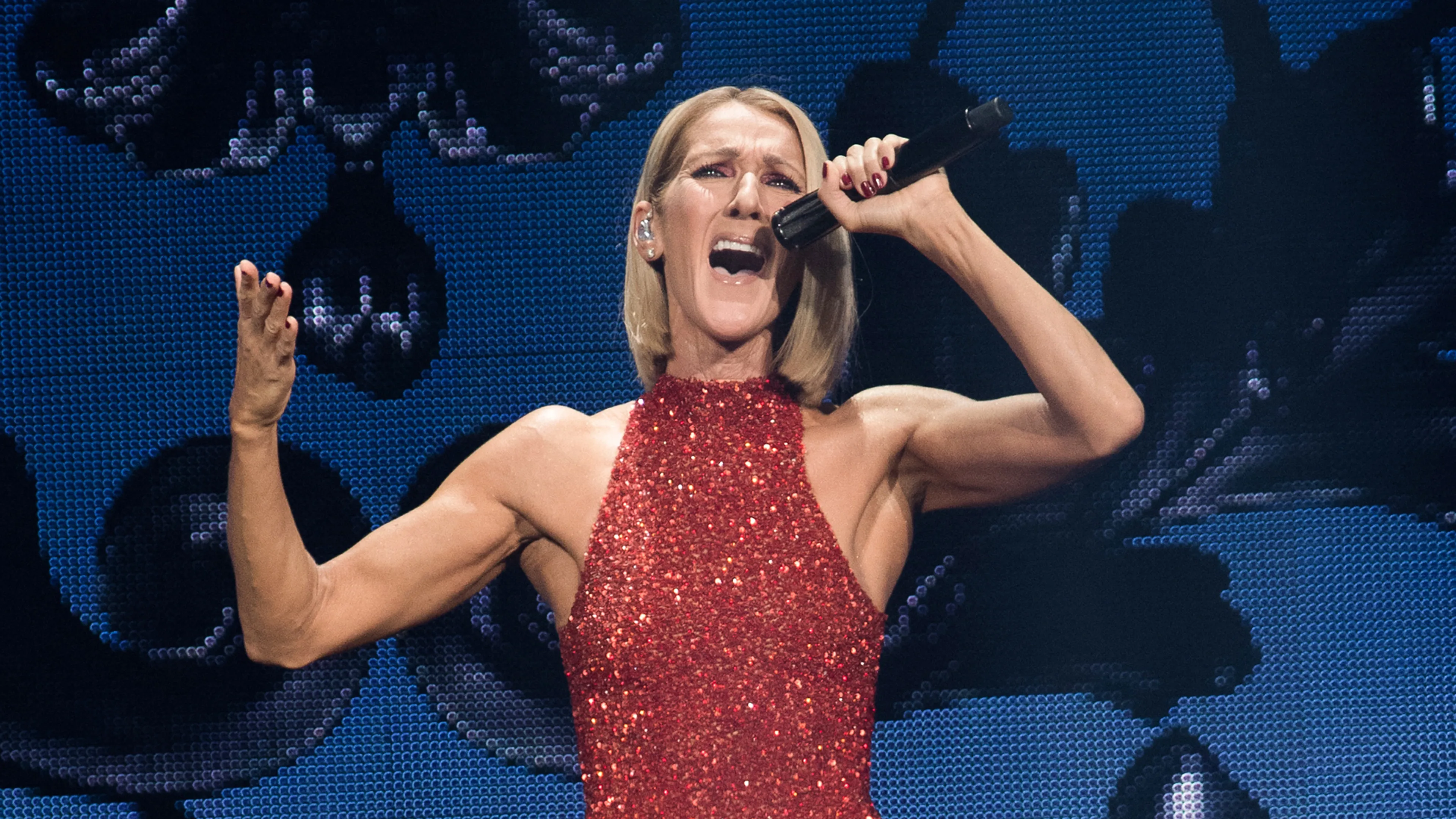 Céline Dion kondigt concertreeks aan en superfan Gordon is erbij!