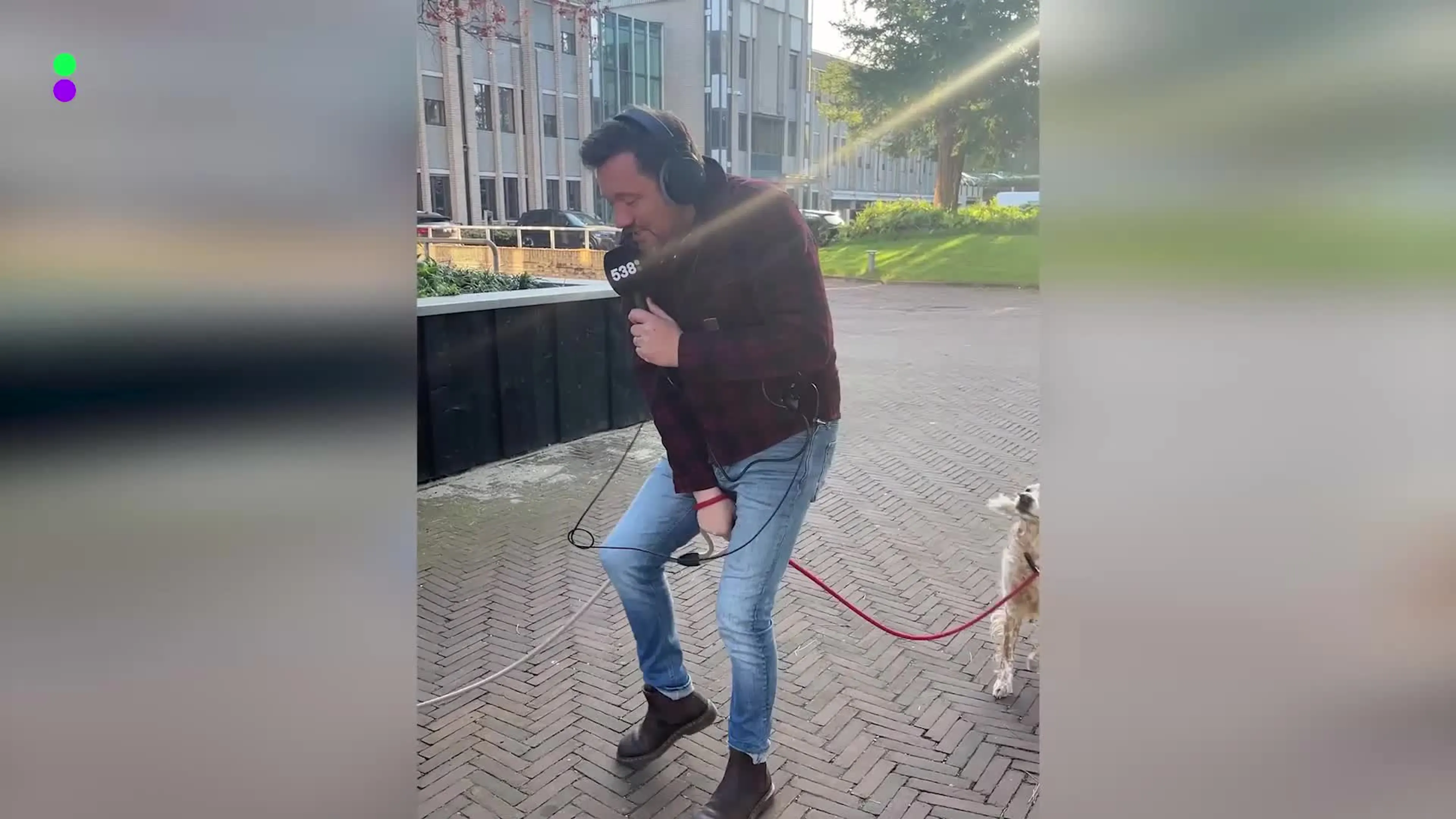 Klaas loopt een ochtendje mee met de hondenuitlaatservice in Hilversum