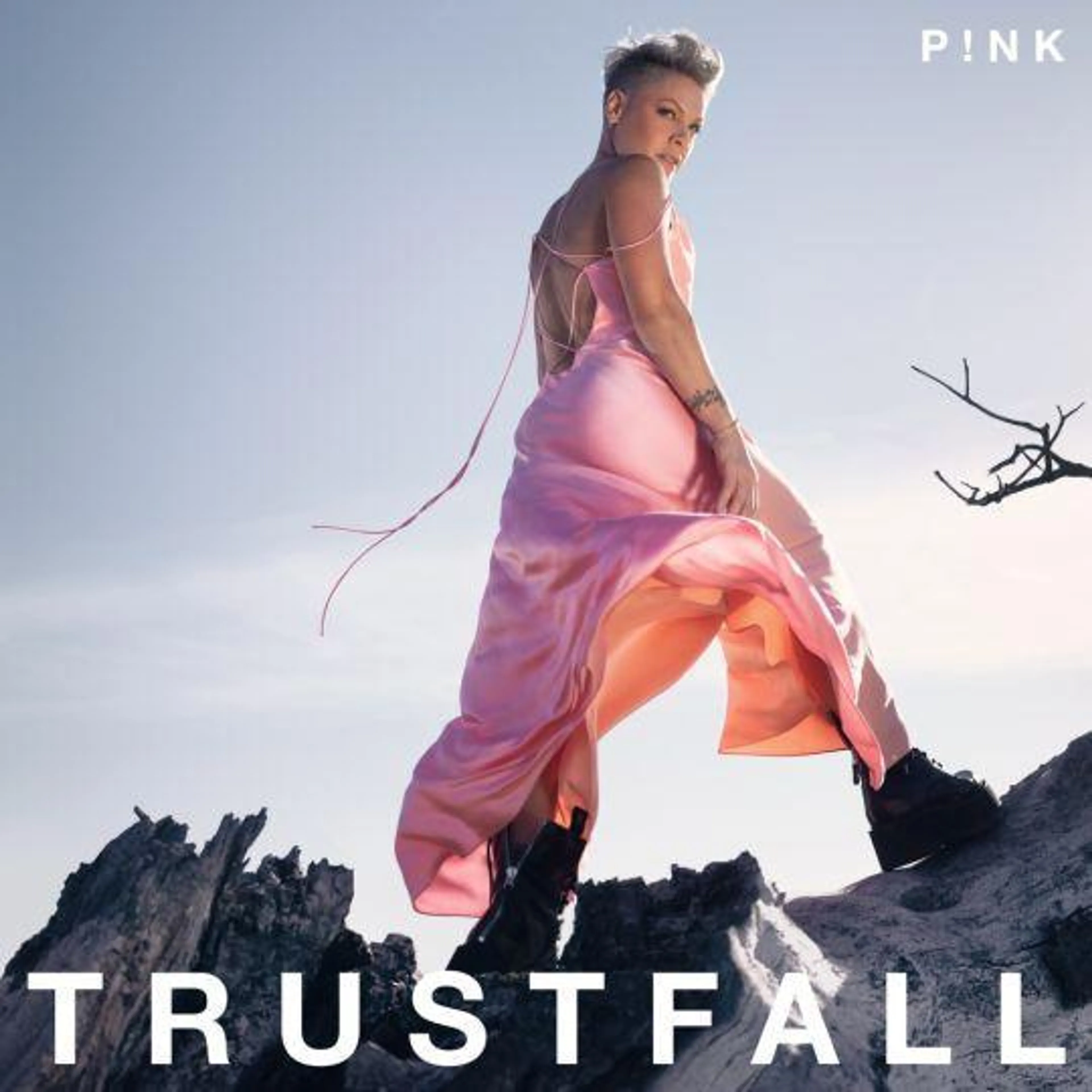 Gemaakt: P!NK - Runaway 