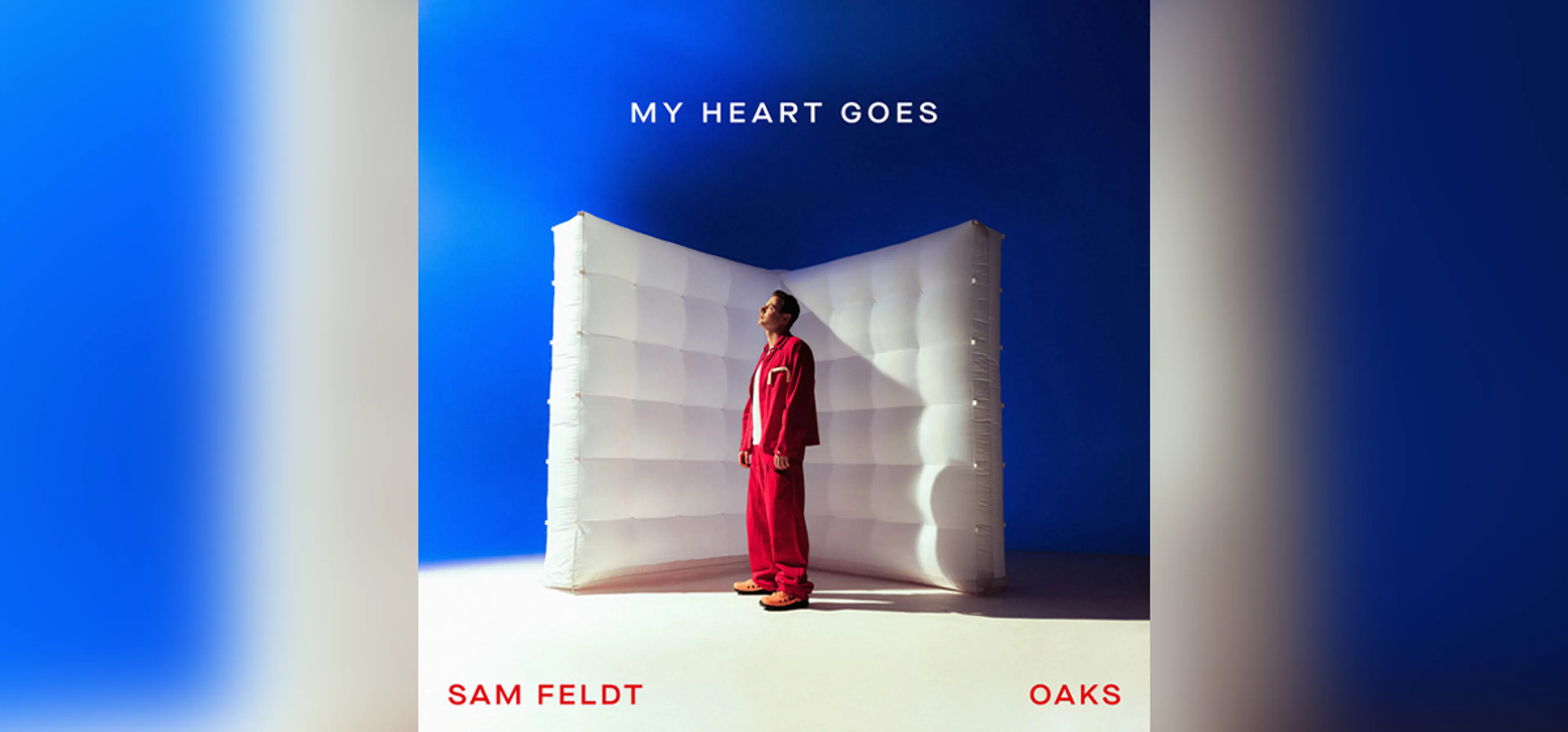 GEMAAKT: Sam Feldt & Oaks - My Heart Goes
