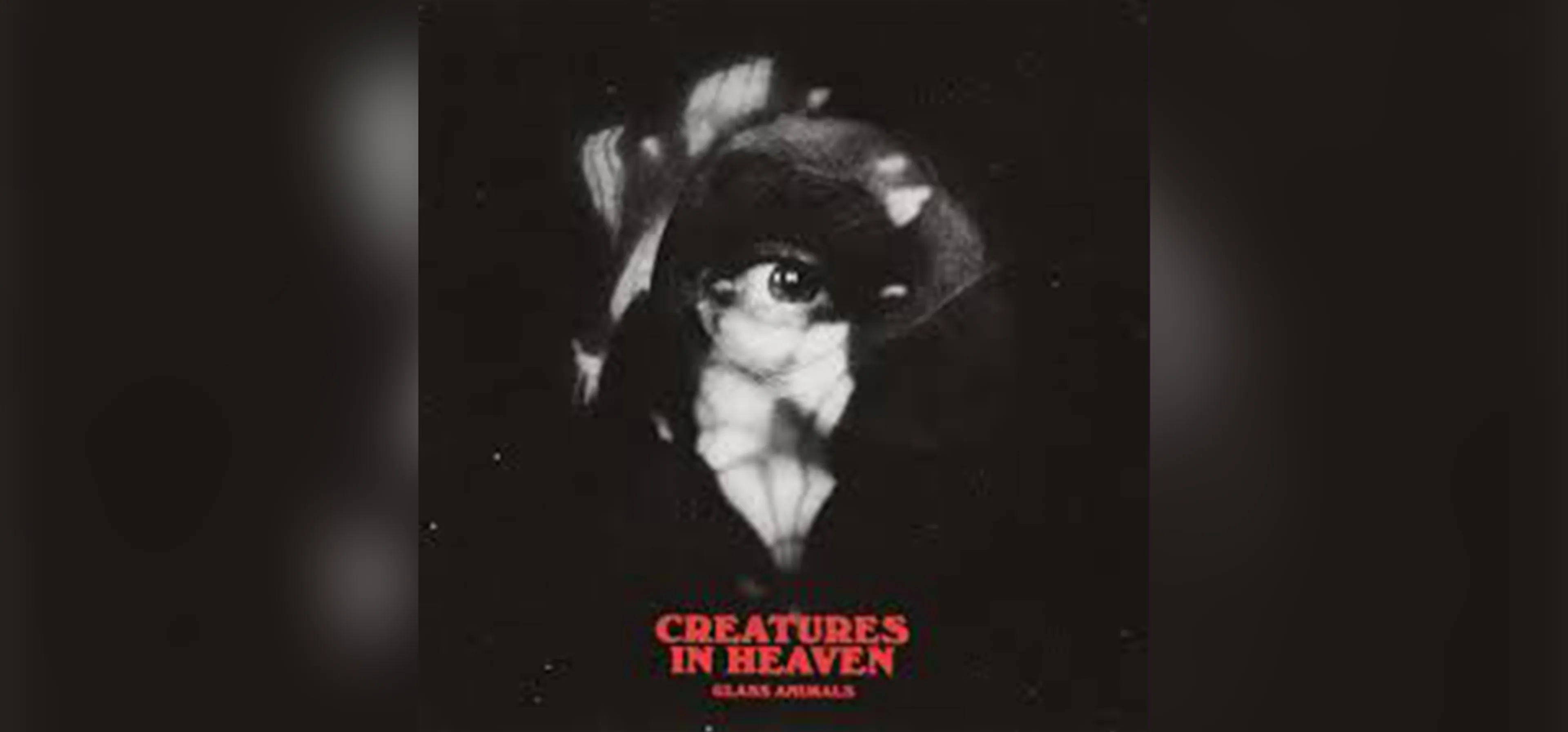GEMAAKT: Glass Animals - Creatures In Heaven