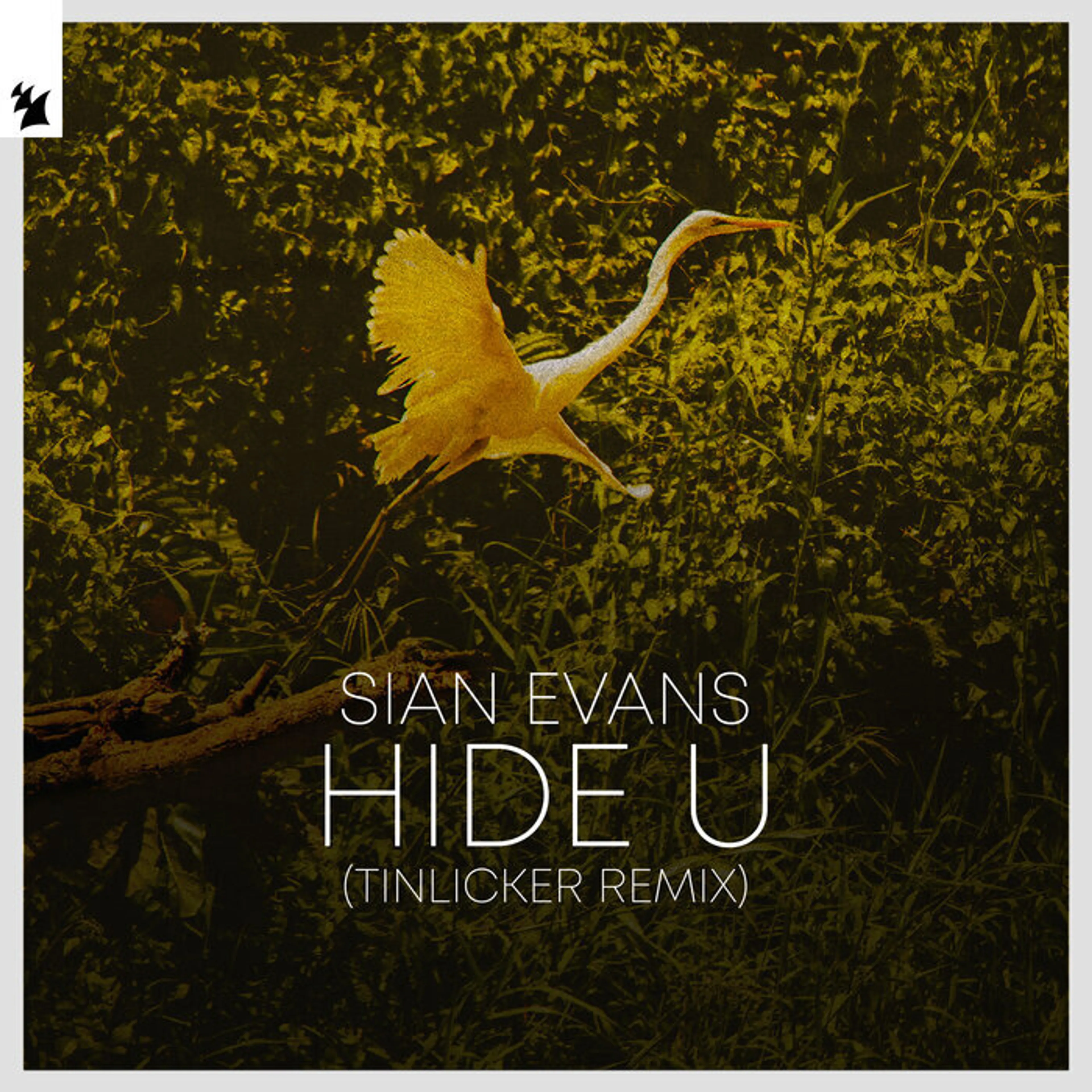 GEMAAKT: Sian Evans - Hide U (Tinlicker Remix)