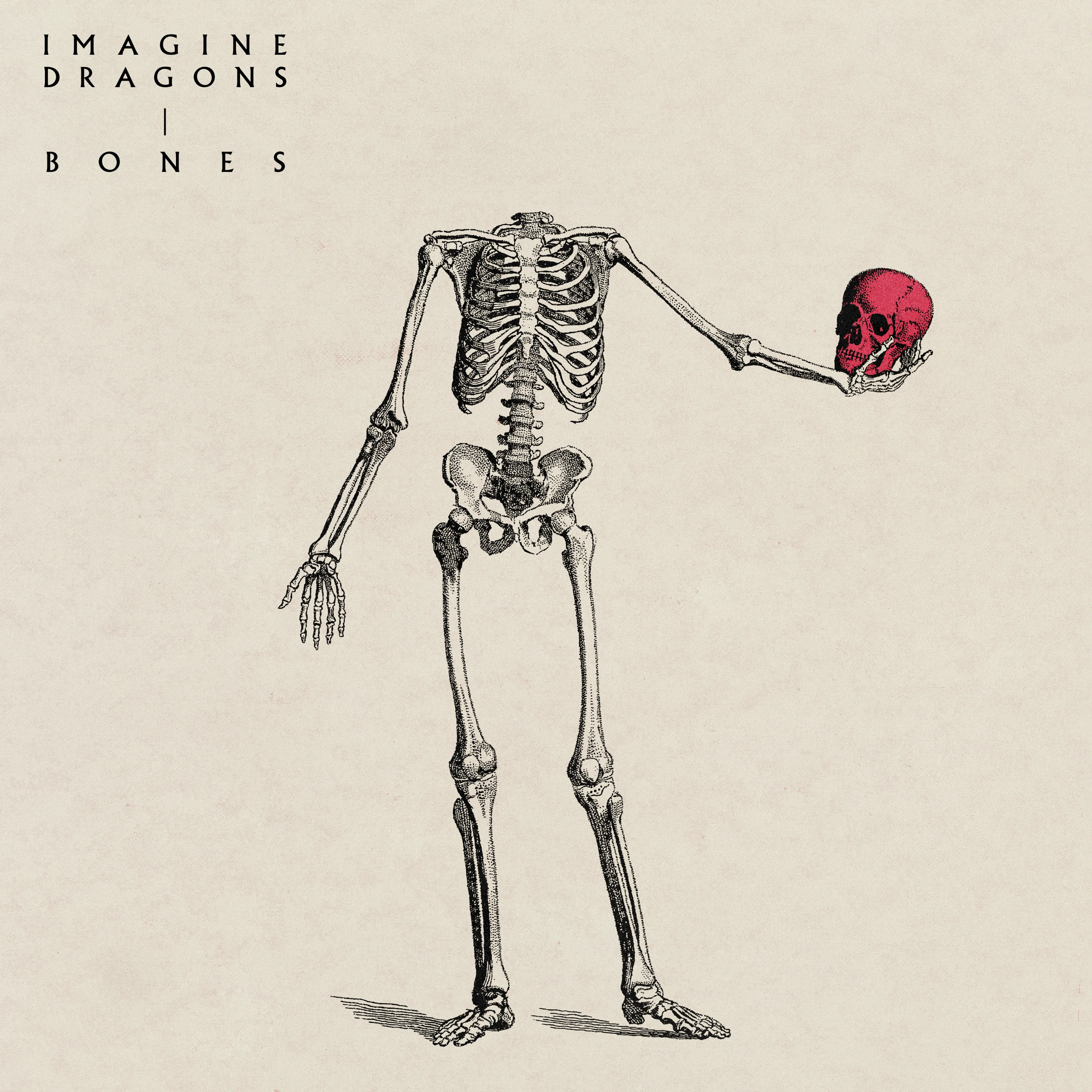 Bones van Imagine Dragons is de nieuwe 538 Favourite