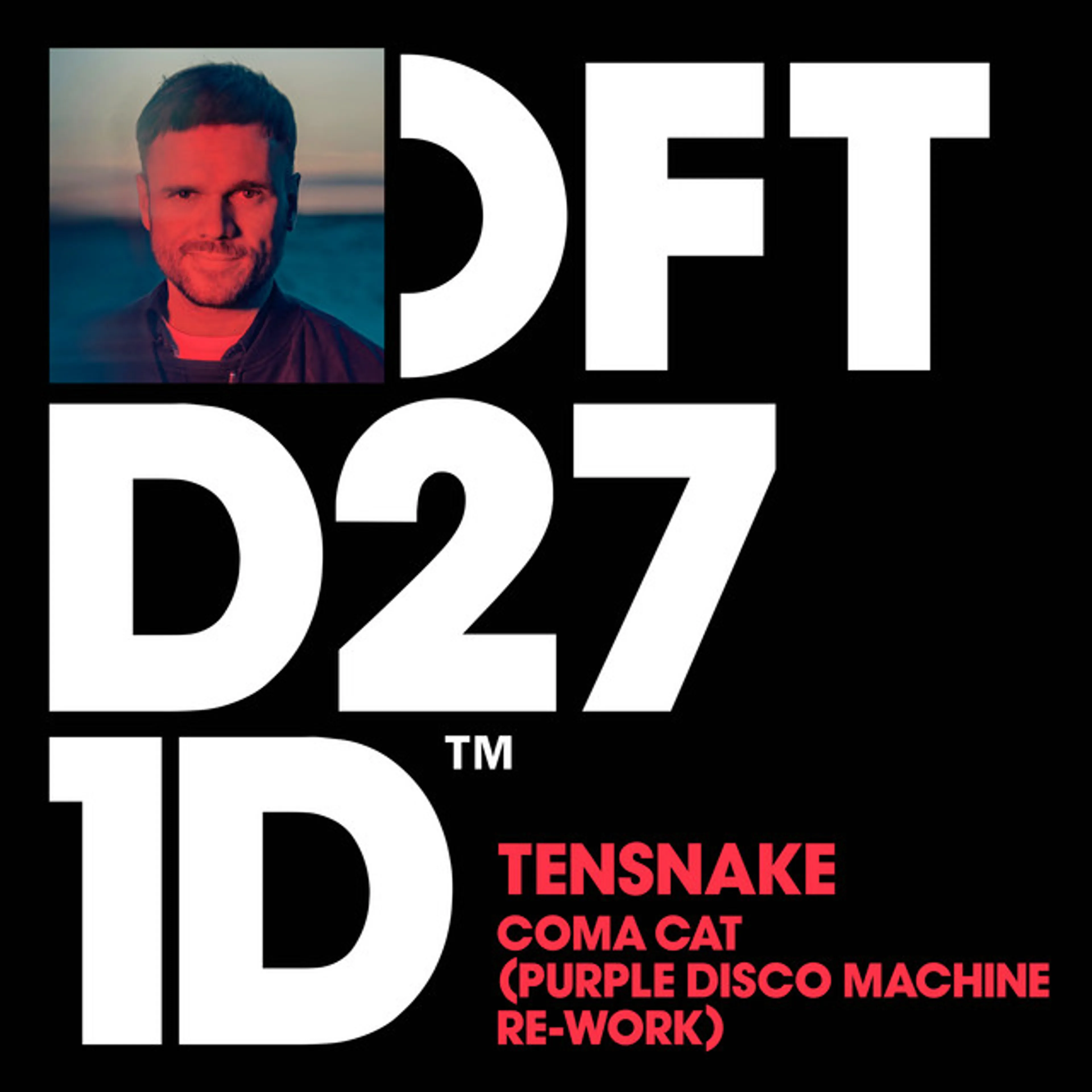 GEKRAAKT: Tensnake – Coma Cat (Purple Disco Machine rework)
