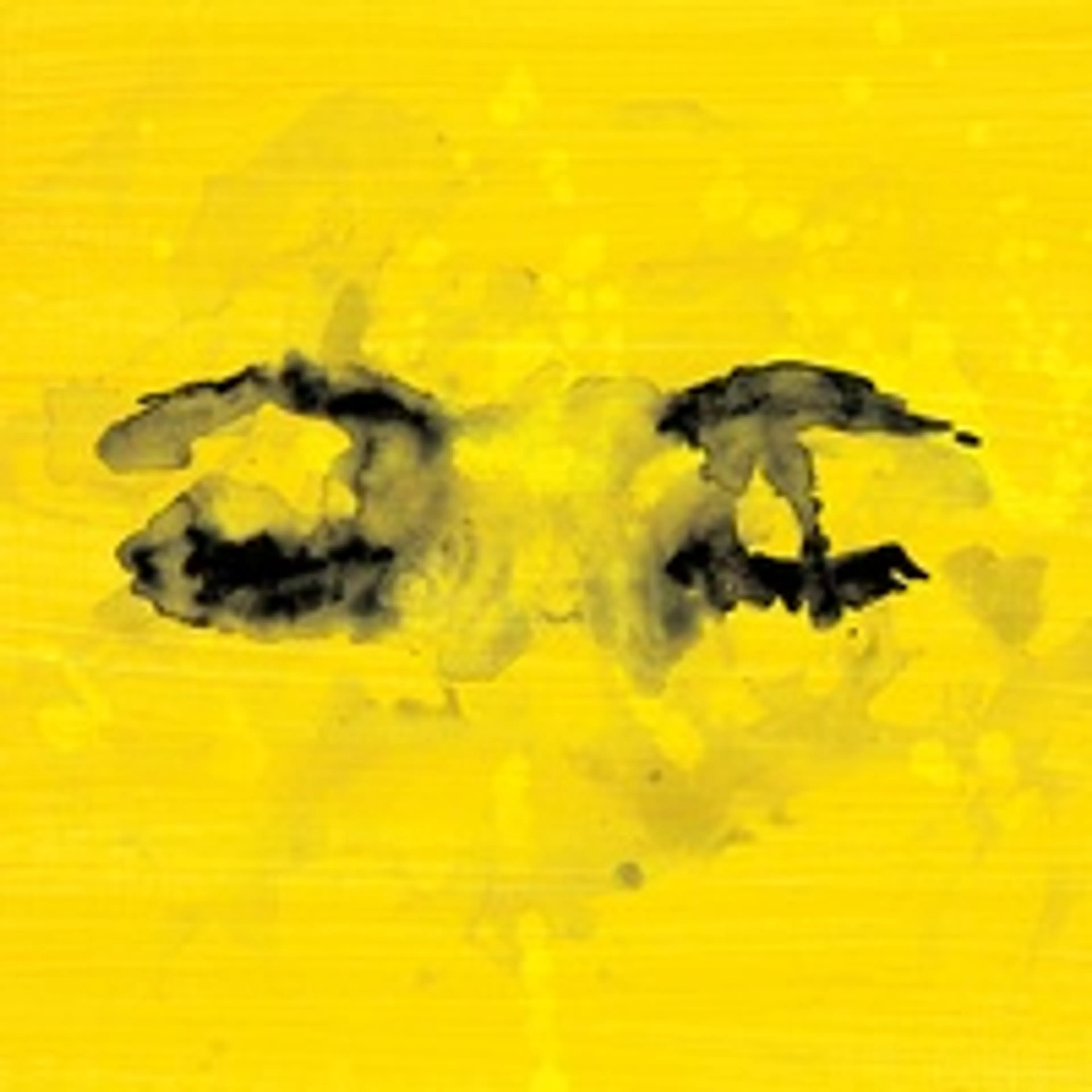 Eyes Closed van Ed Sheeran is de nieuwe 538 Favourite!