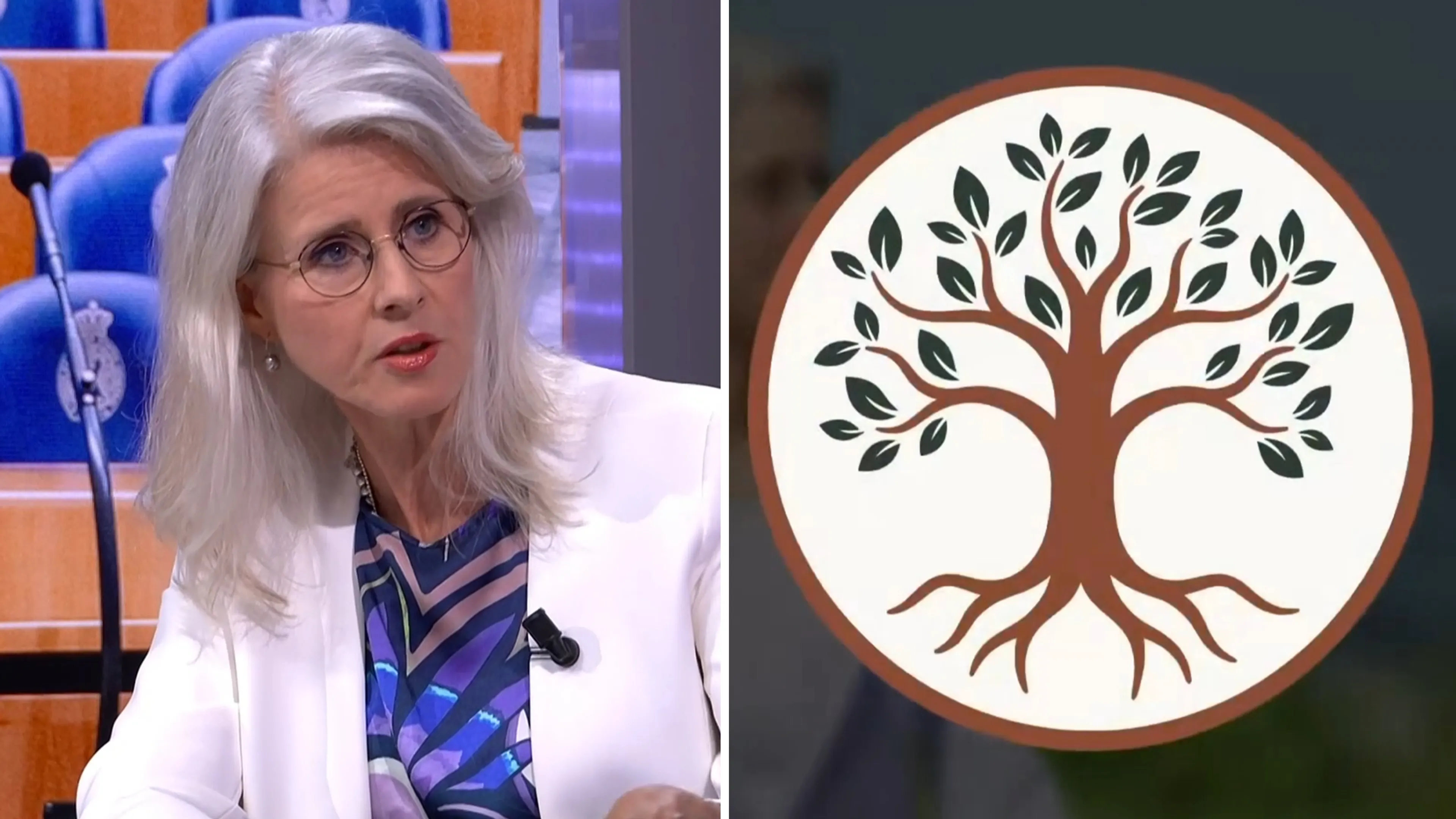 Mona Keijzer over Project 2029: 'Nederland wil sociaal-conservatieve politiek'