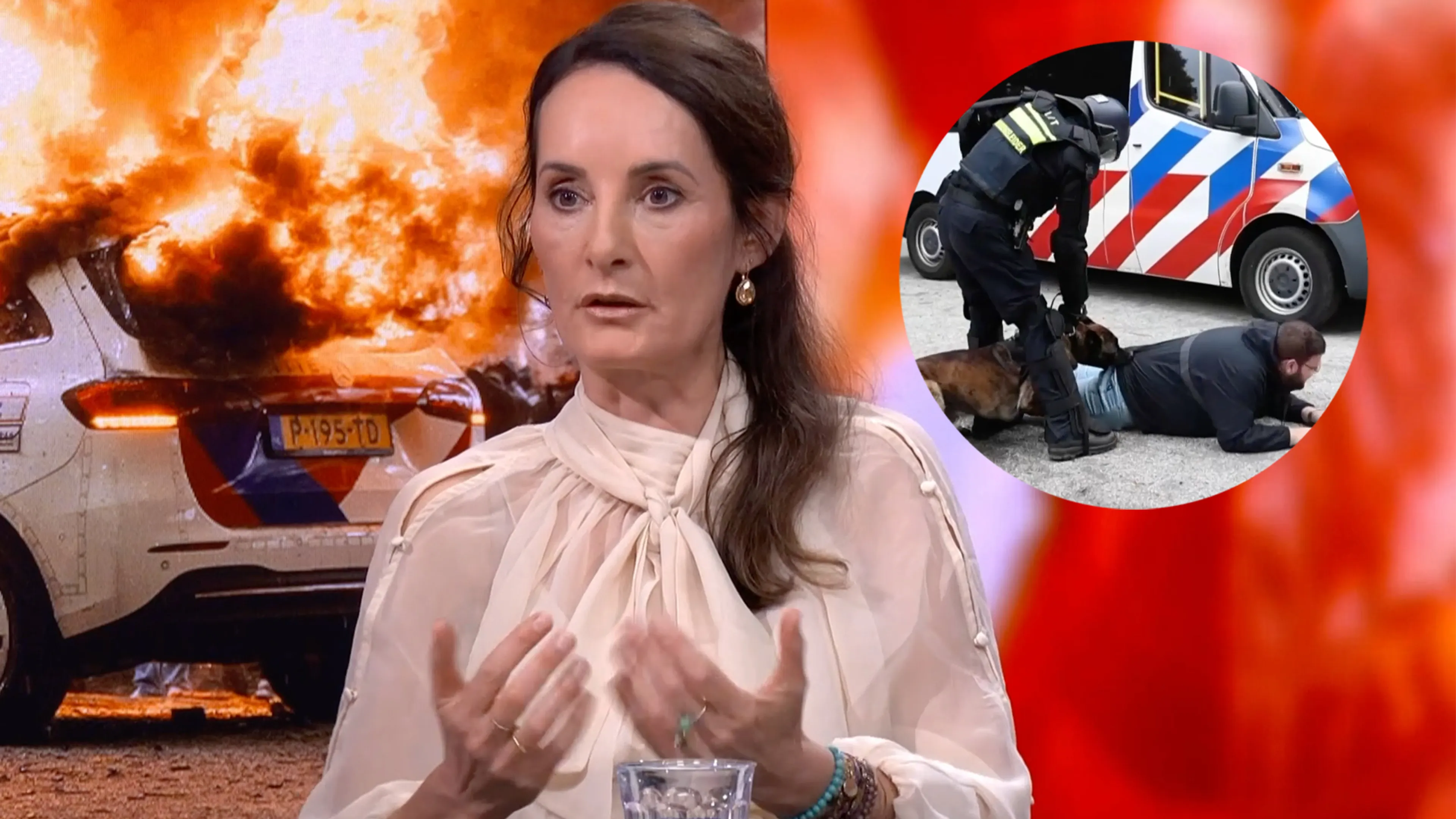 Esther van Fenema: 'Waar zijn de vrouwen van mannen die zich misdragen?'
