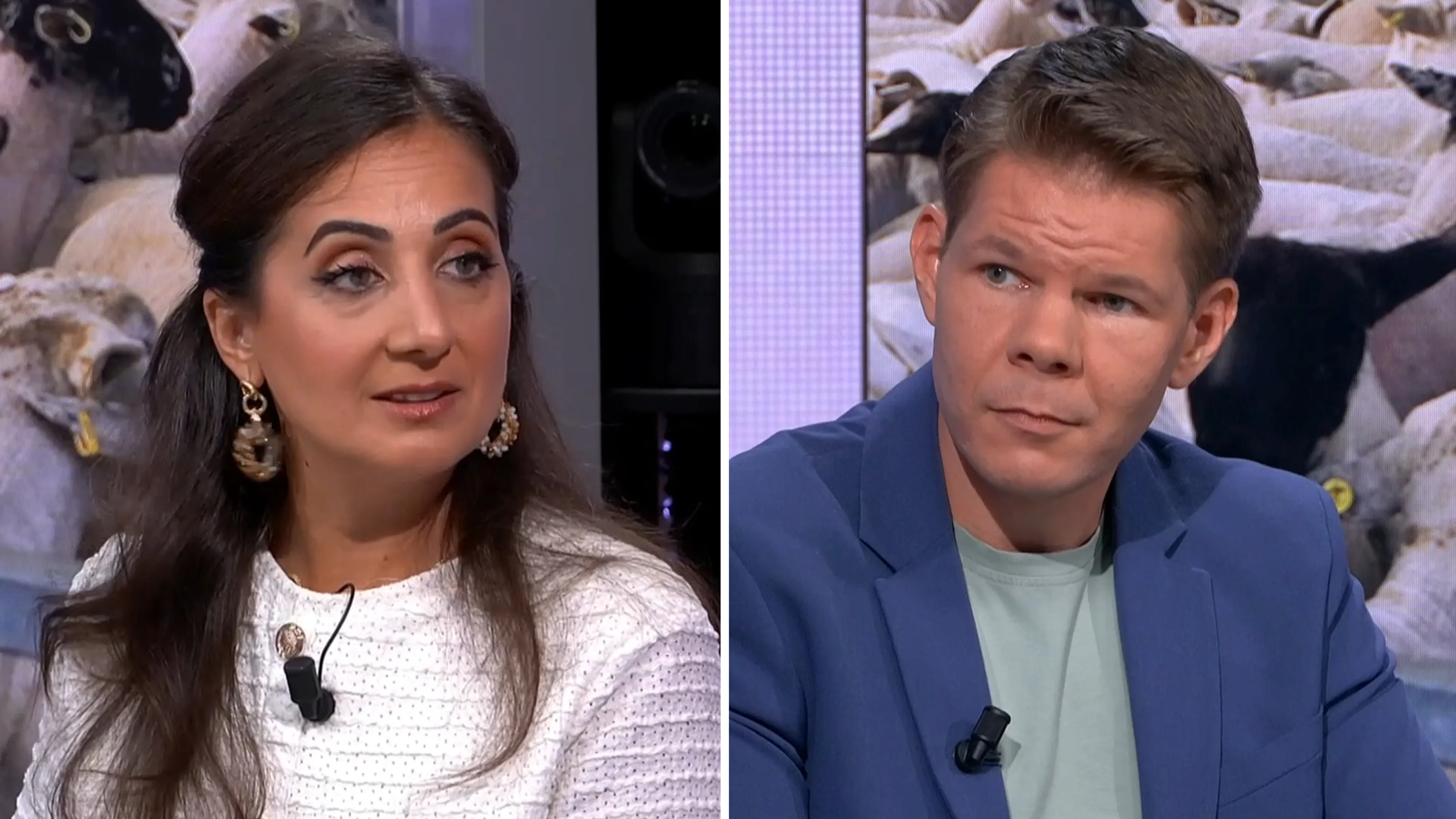 Moet onverdoofd ritueel slachten verboden worden? 'Absurd dat het nog gebeurt'