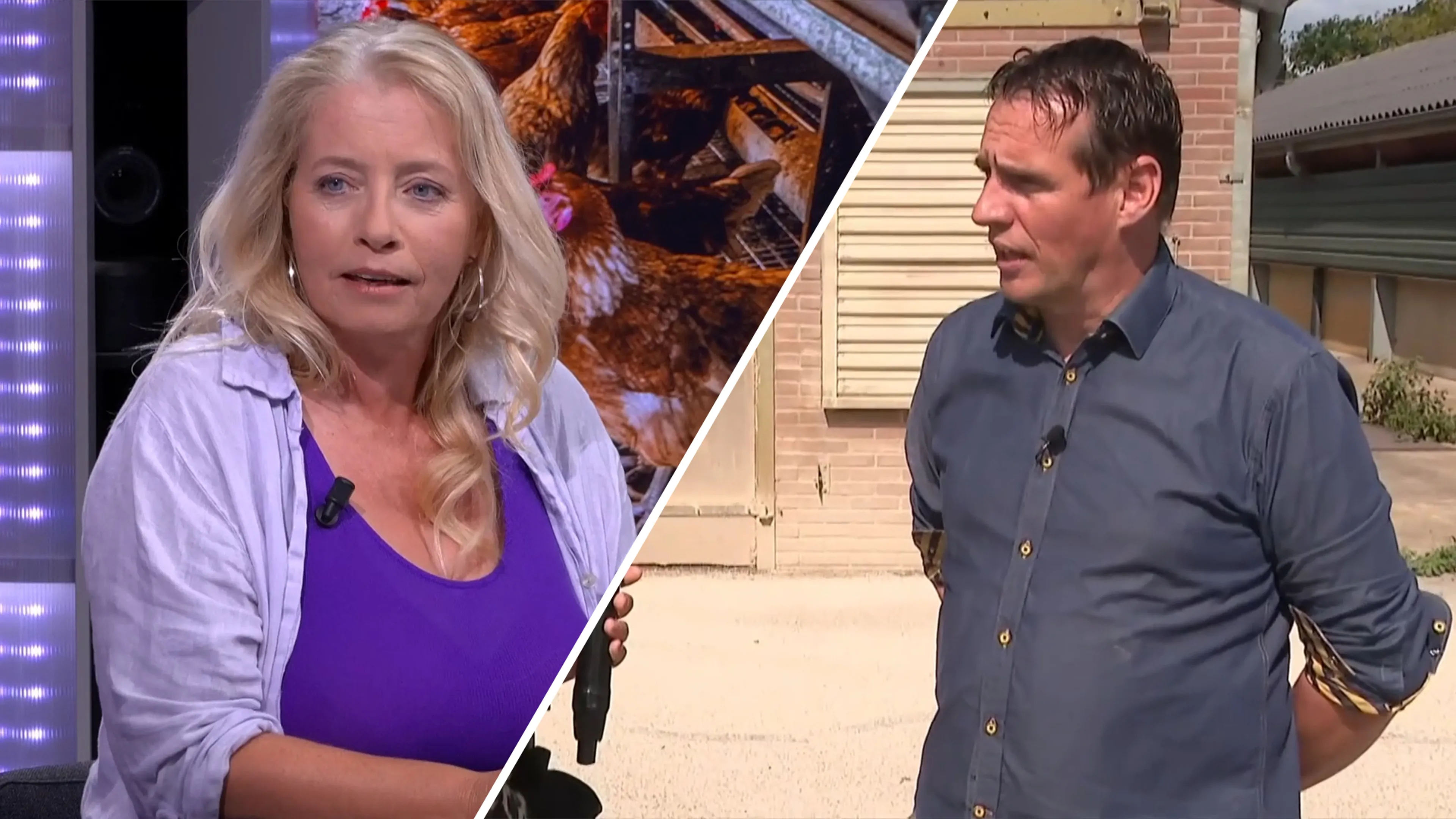 Marianne Zwagerman hekelt besluit intrekken vergunningen bij boeren: 'We worden meegezogen in ecoterreur'