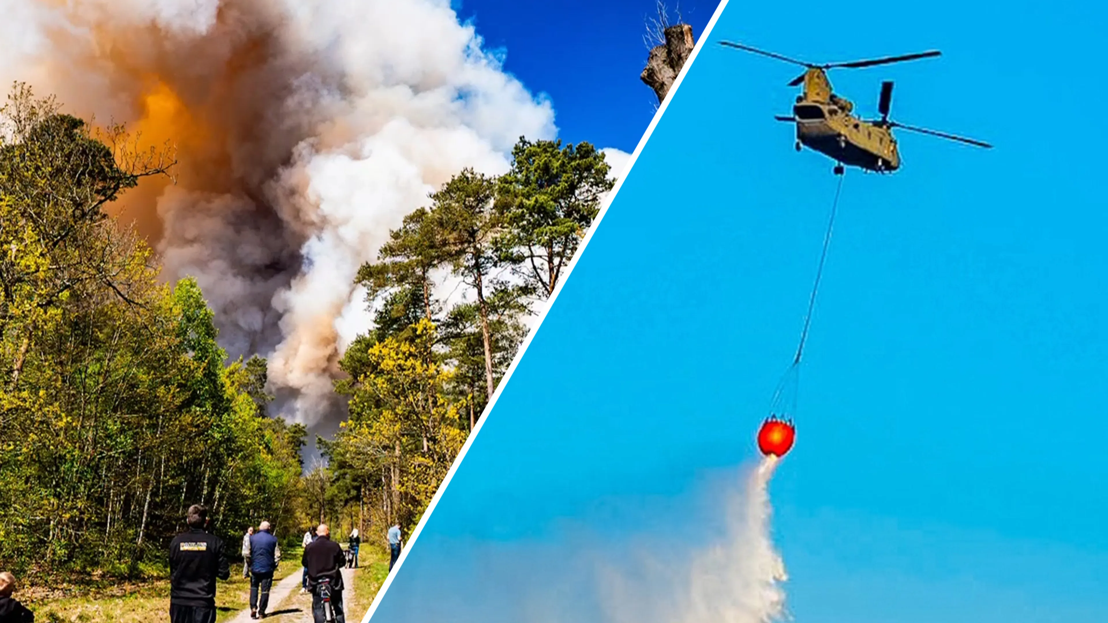 Enorme natuurbrand op oefenterrein Defensie bij 't Harde: 'Enorme, witte smurrie'