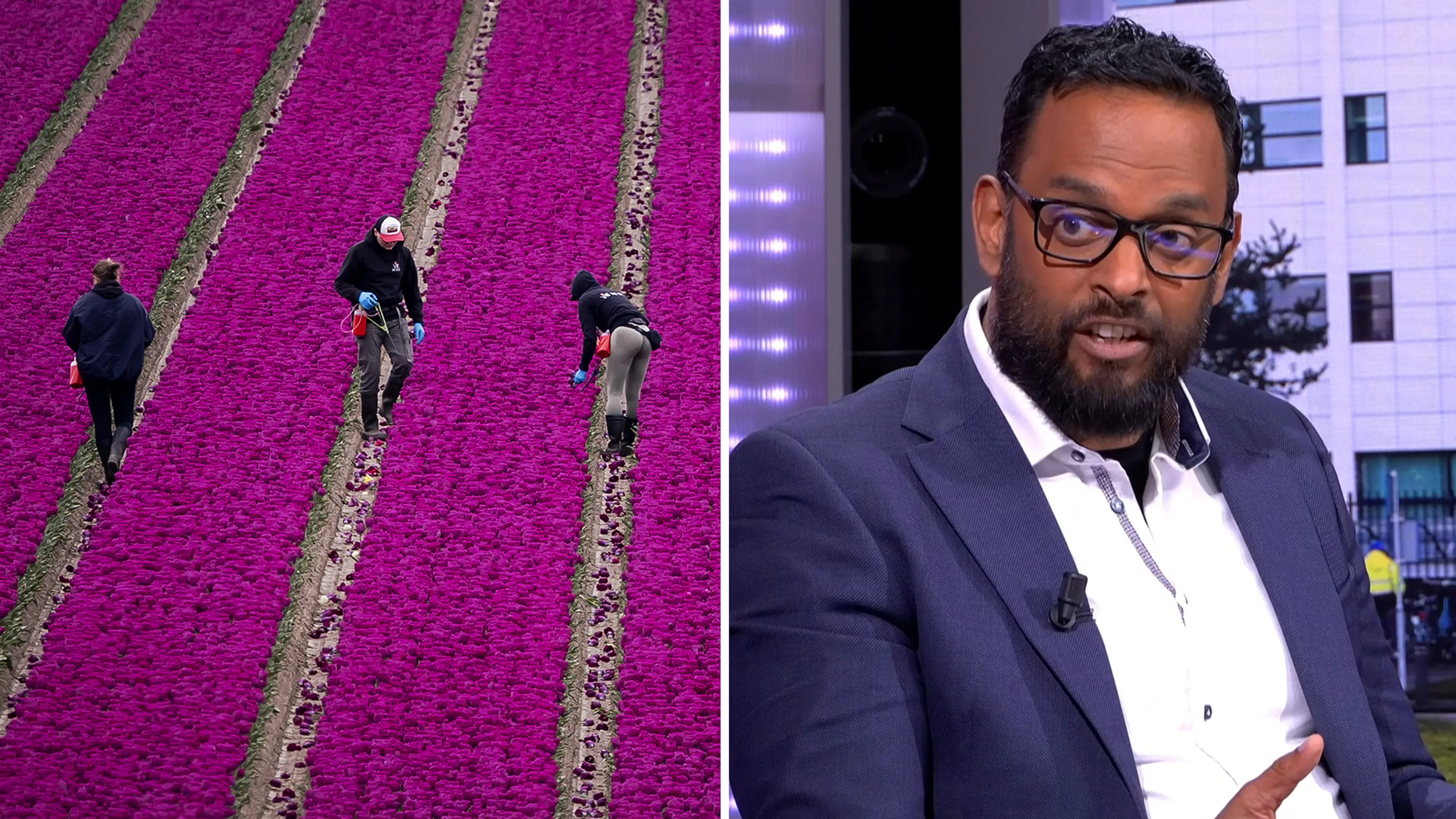 'Arbeidsmigratie is een blinde vlek in Nederland'