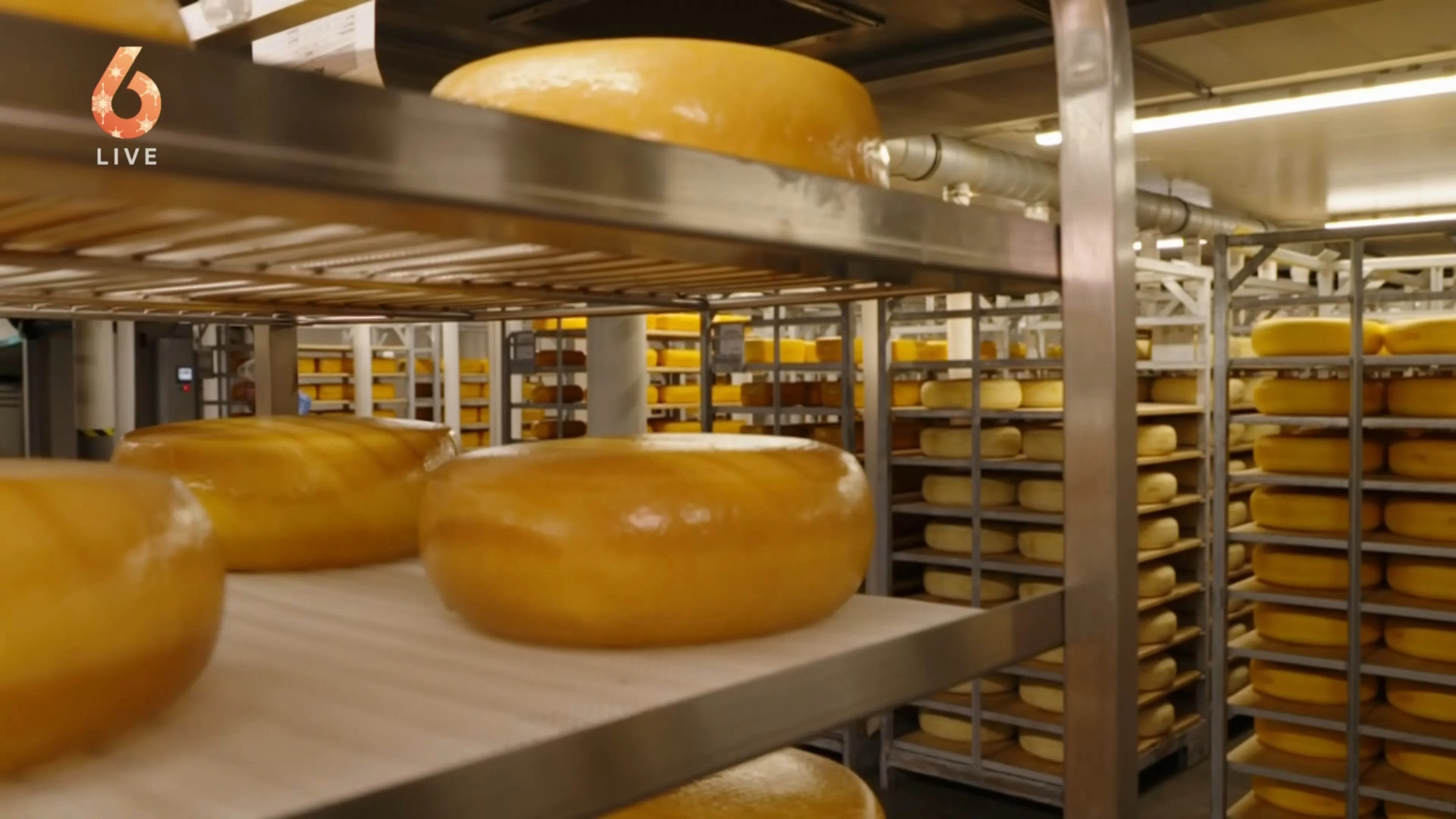 Pijnlijk: de beste Goudse kaas ter wereld komt niet uit Nederland