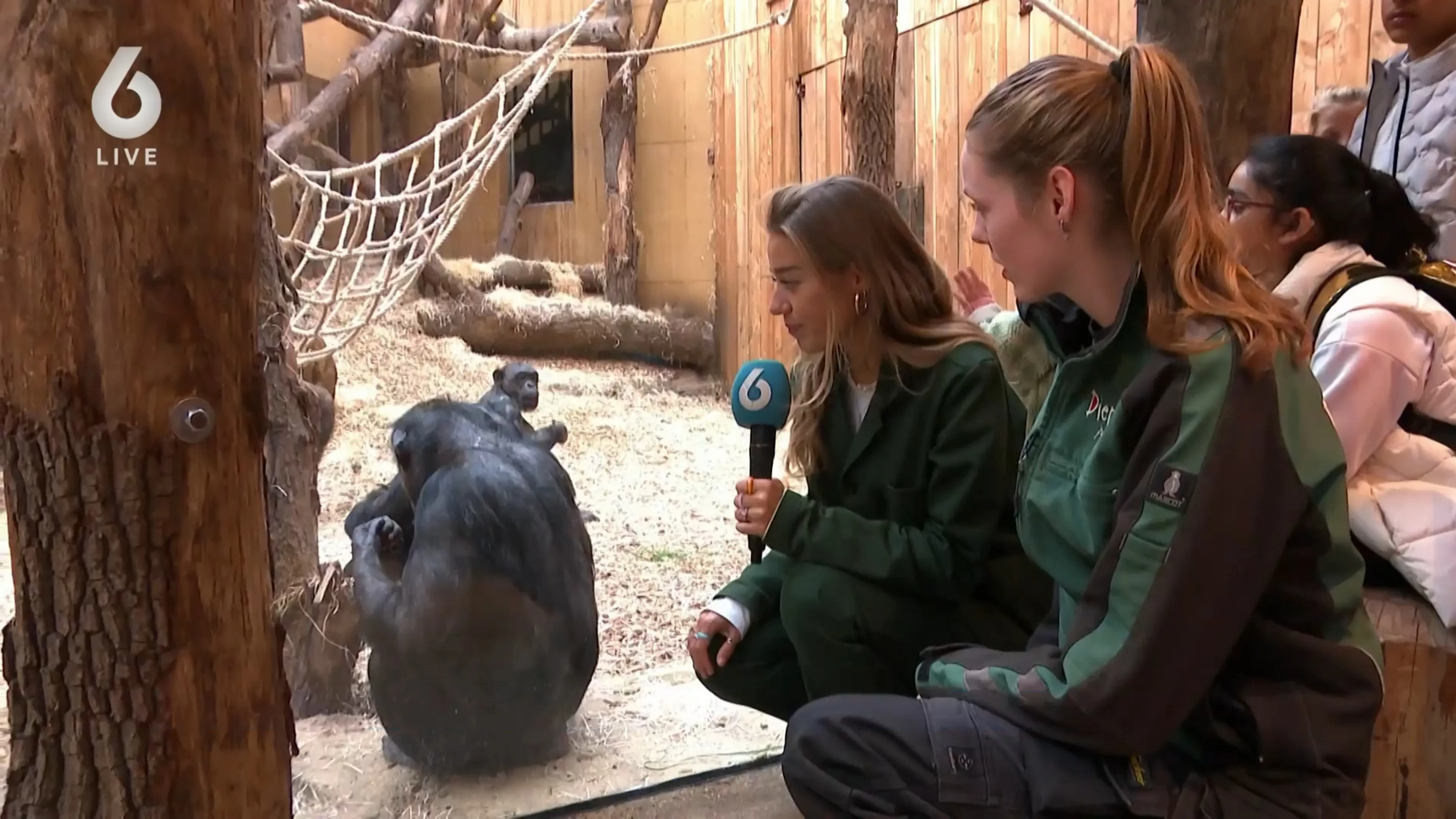 'Goodall gaf de chimpansees namen en erkende hun persoonlijkheden'