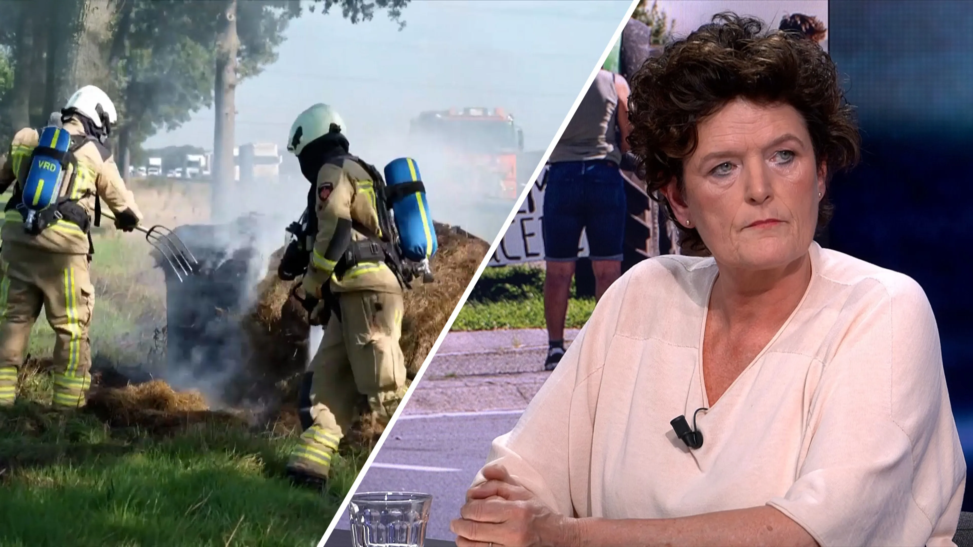 Farmers Defence Force weigert boerenacties af te keuren: ‘Ik kan het wel begrijpen’