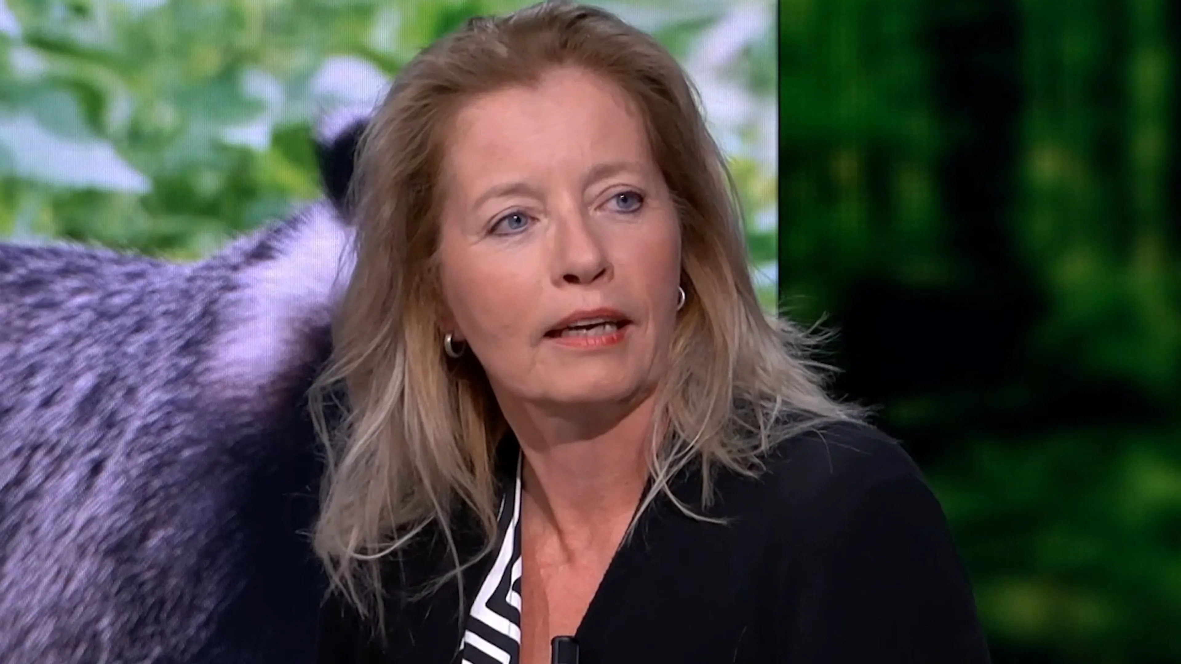 Nederland loopt vast in regeltjes: 'Noem het eerder ecoterrorisme'