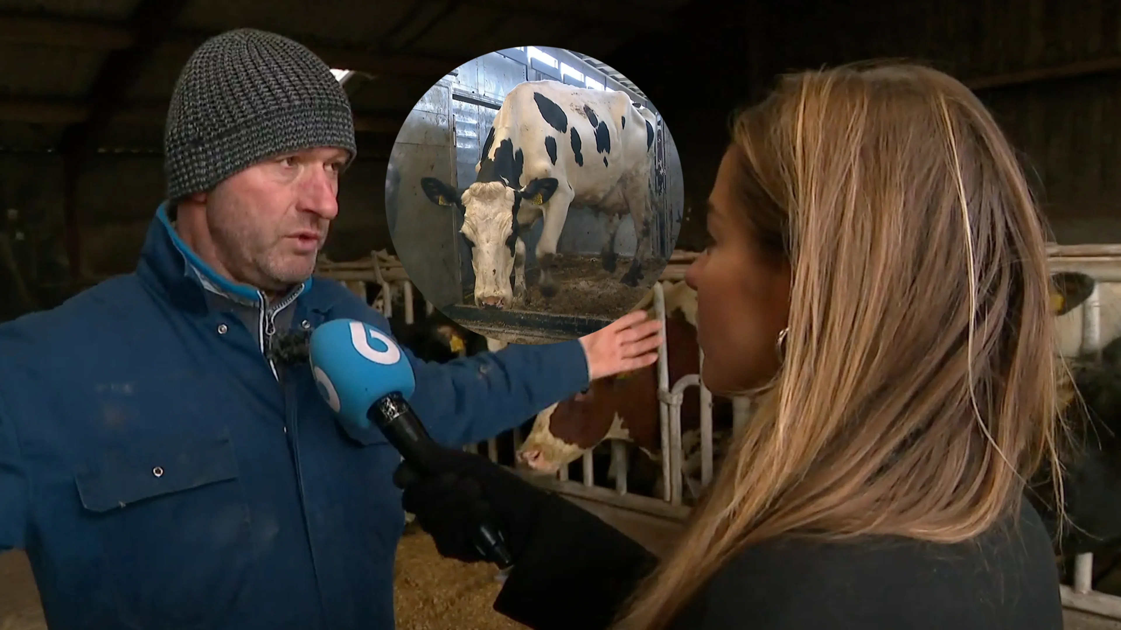 Boer Ronald verkocht zijn koeien en deed daarna iets opmerkelijks