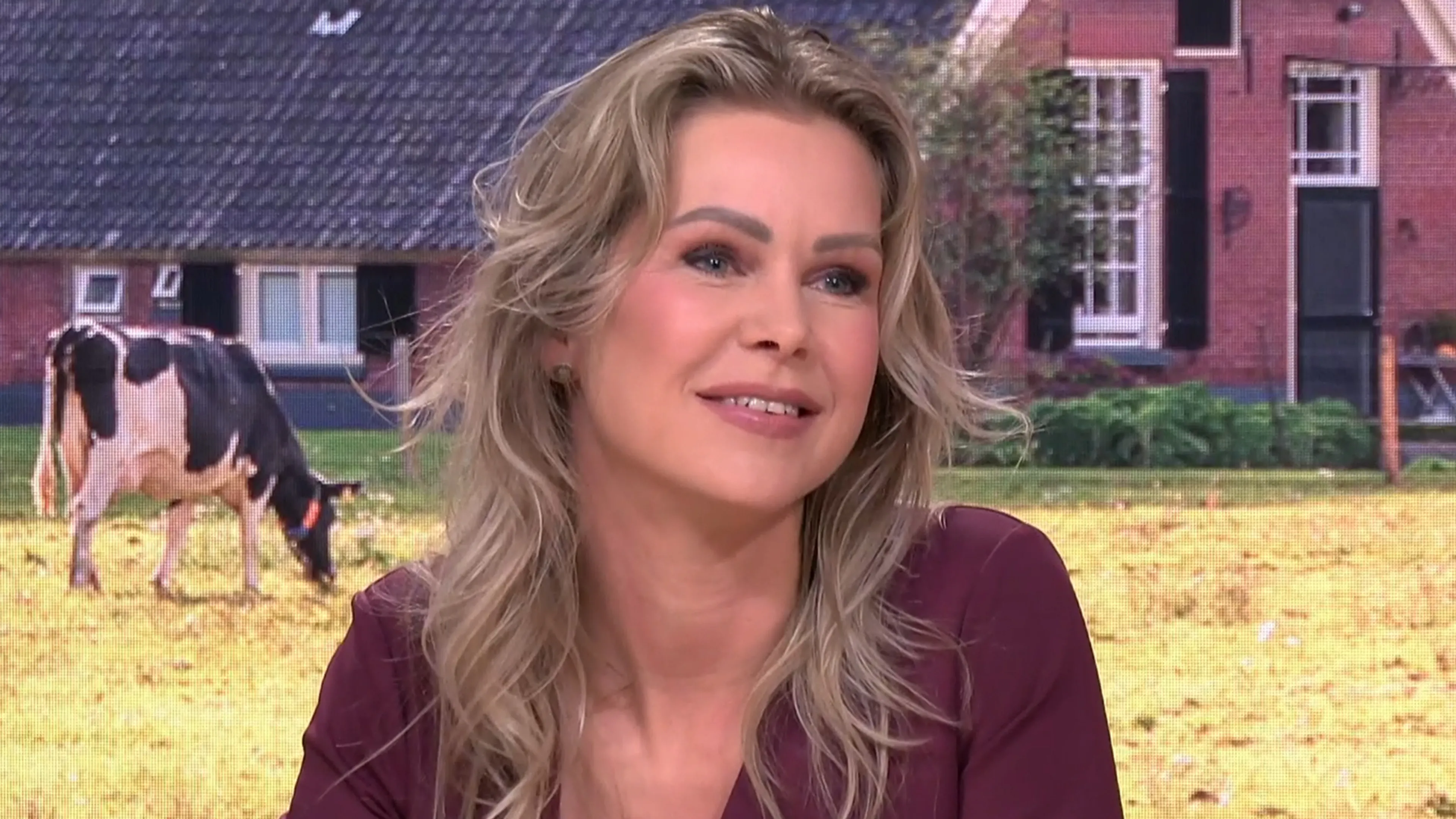 Femke Wiersma over tijd als minister: 'Ik herken mij niet in dat beeld'