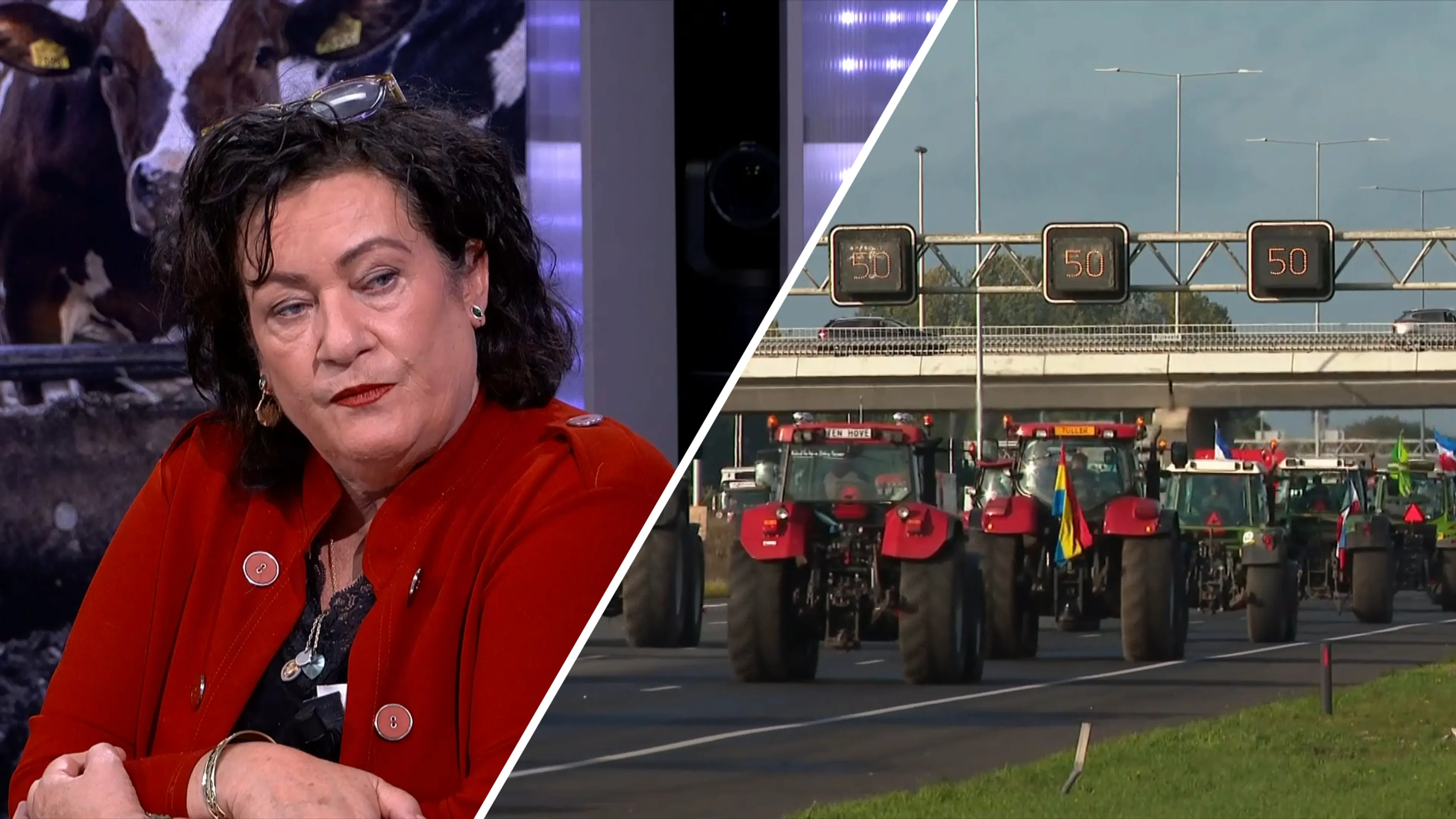 Caroline van der Plas doet oproep aan boeren: 'Kom massaal naar het Malieveld'