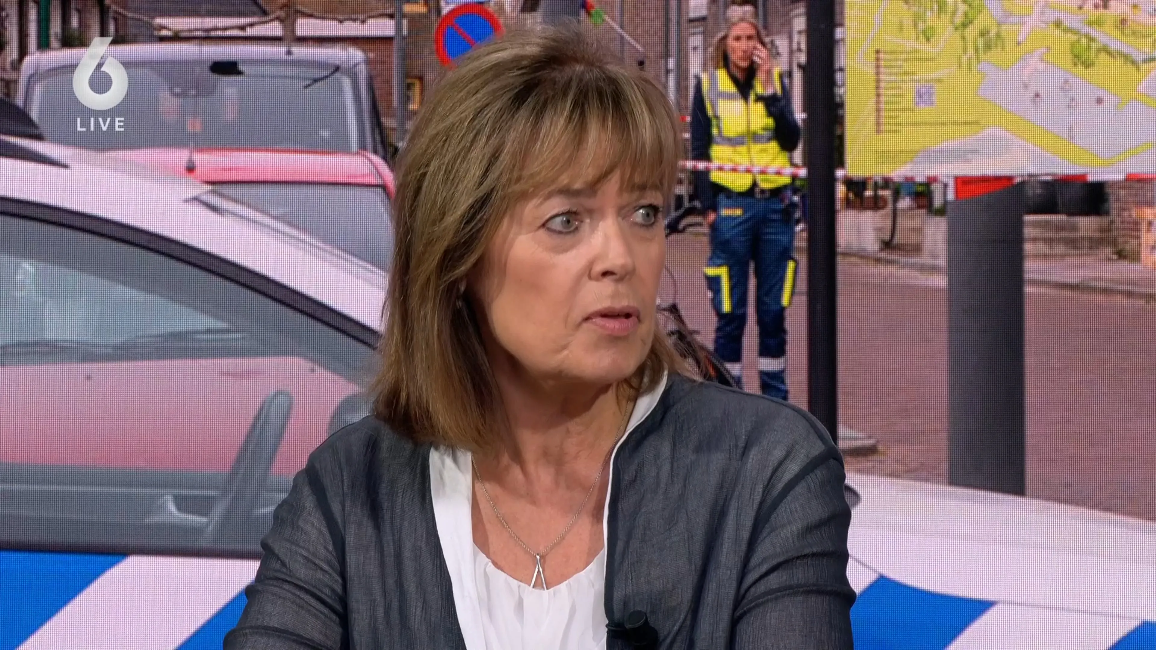 Horrormoord in Hellevoetsluis: eerste zitting in gruwelijke onthoofdingszaak