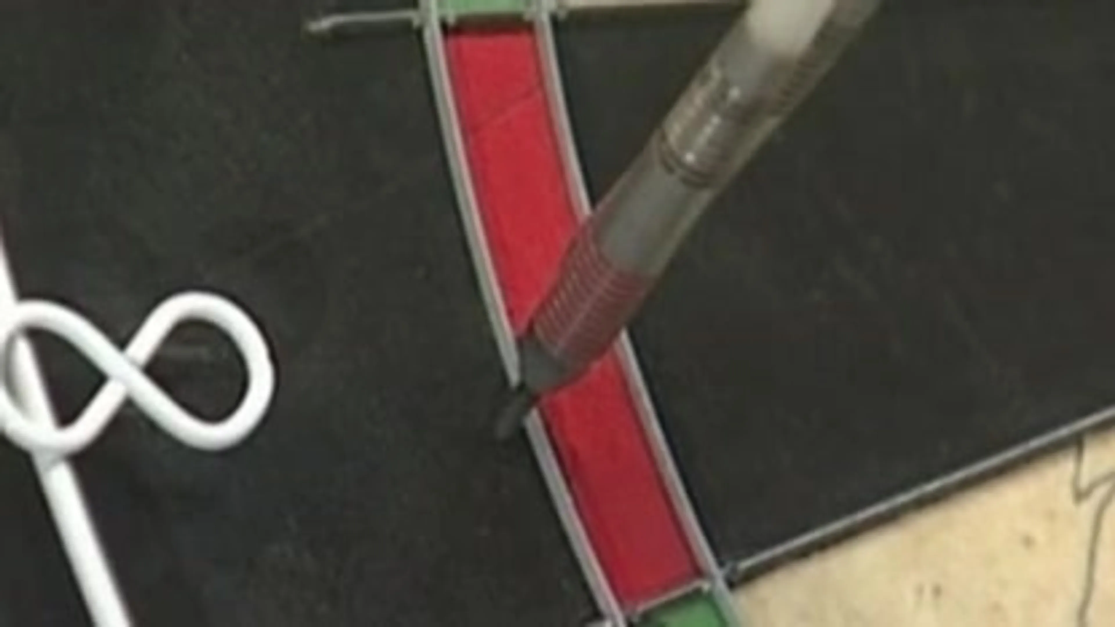 Raymond van Barneveld stopt na 2019