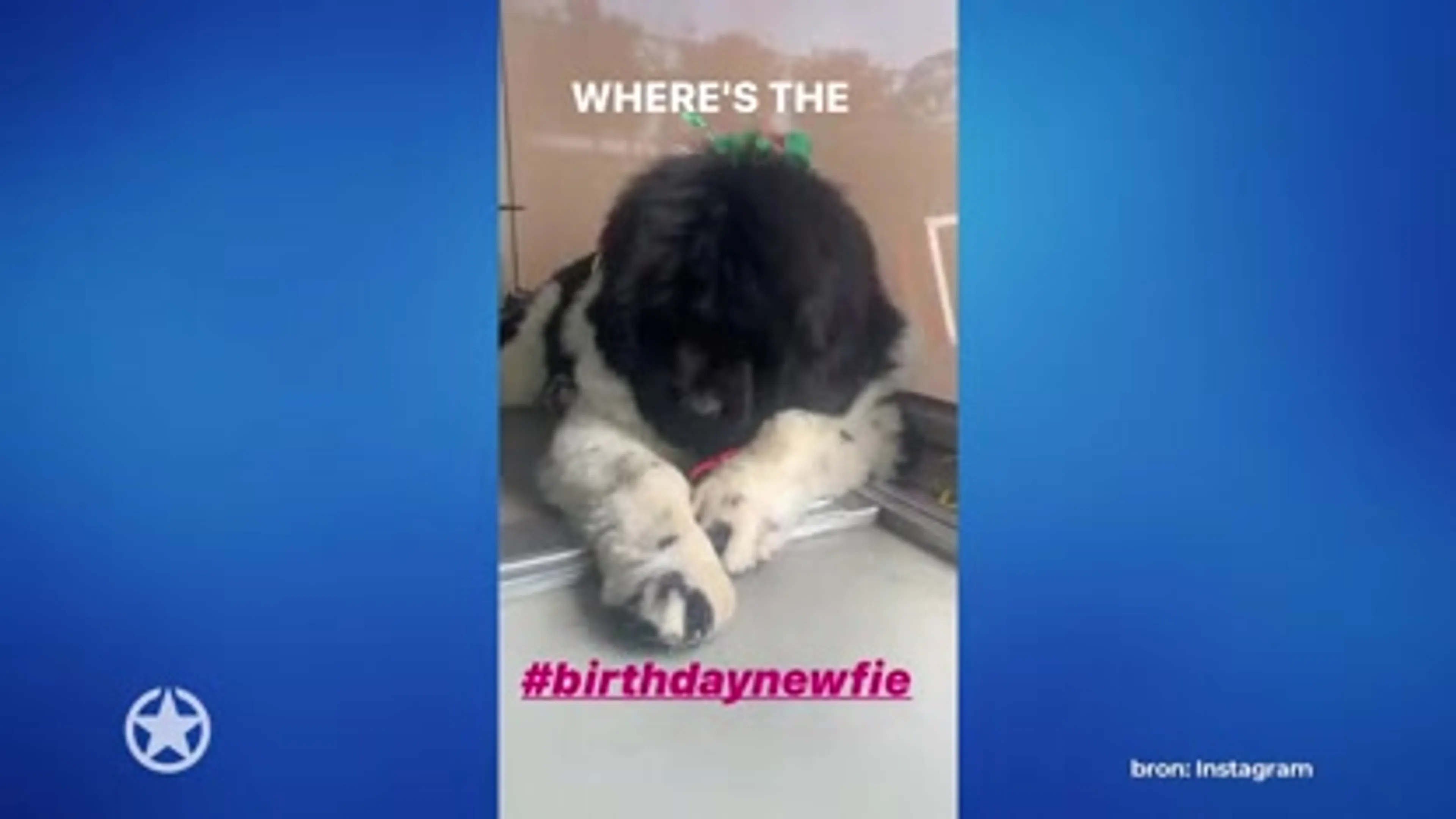 Feestelijke dag voor Karen Damen
