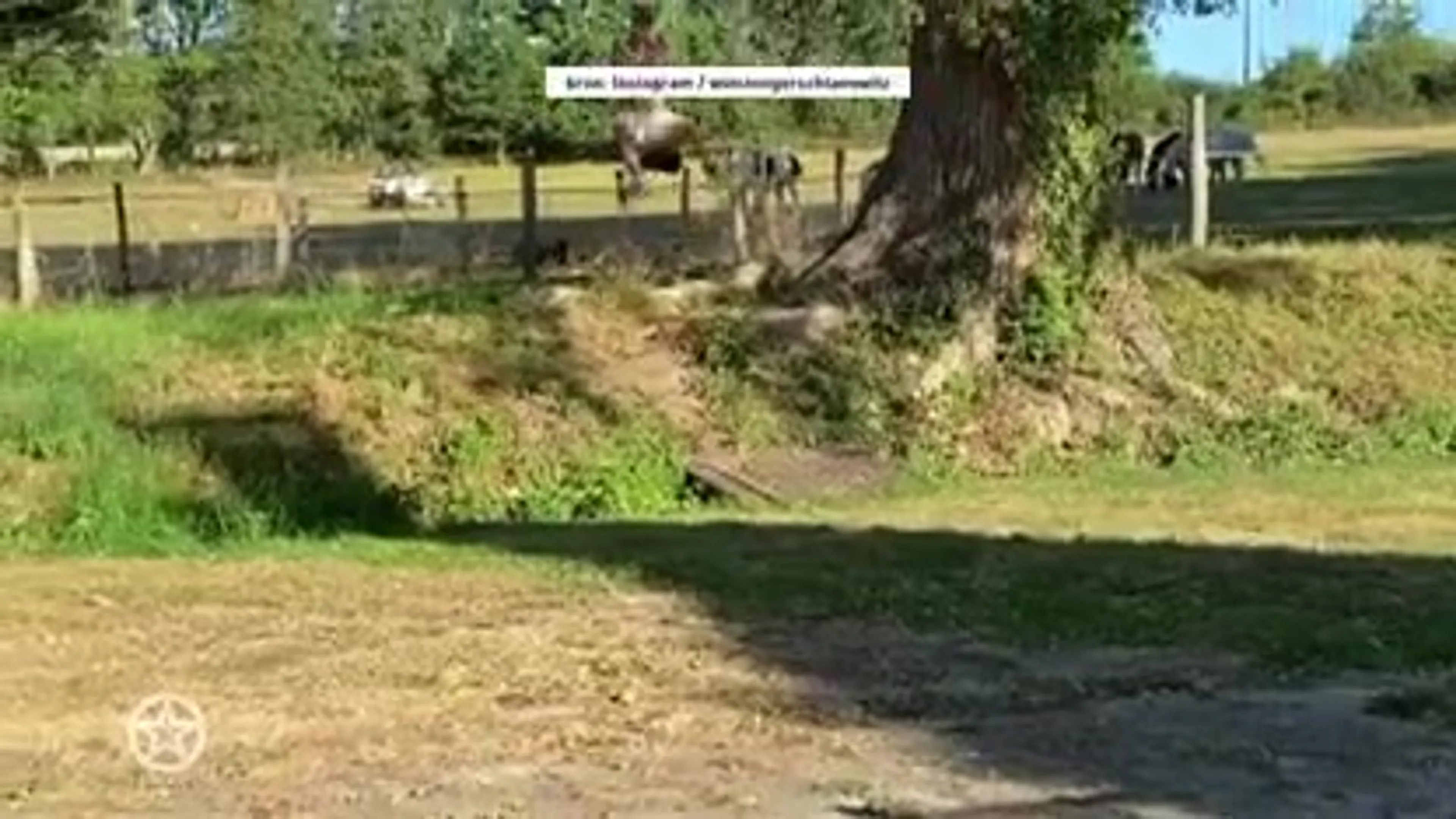 Winston en Renate Gerschtanowitz hebben grootste lol op vakantie