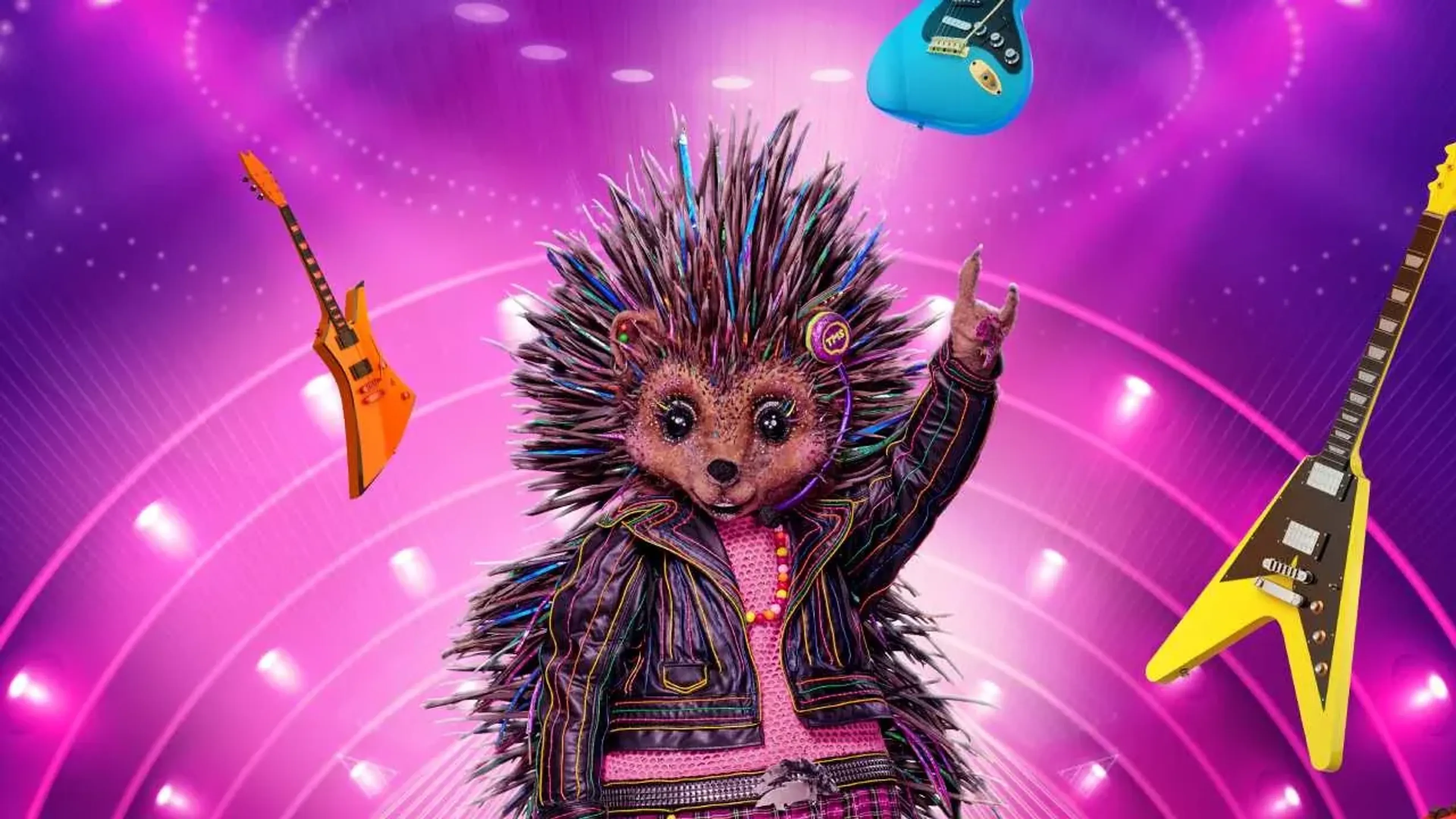 De Egel zaait verwarring bij The Masked Singer-kijker