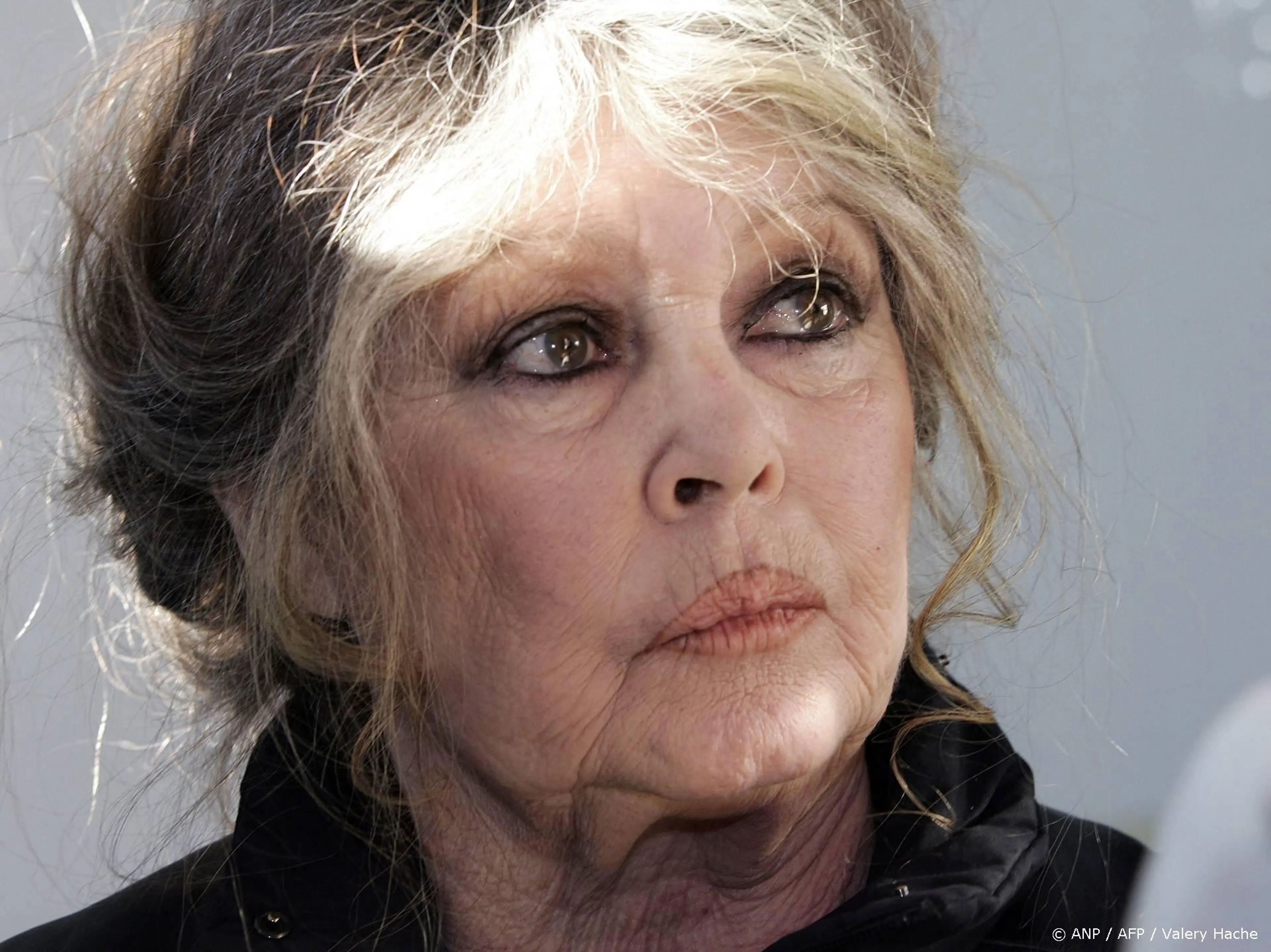 Felle discussie in Frankrijk over uitvaart Brigitte Bardot