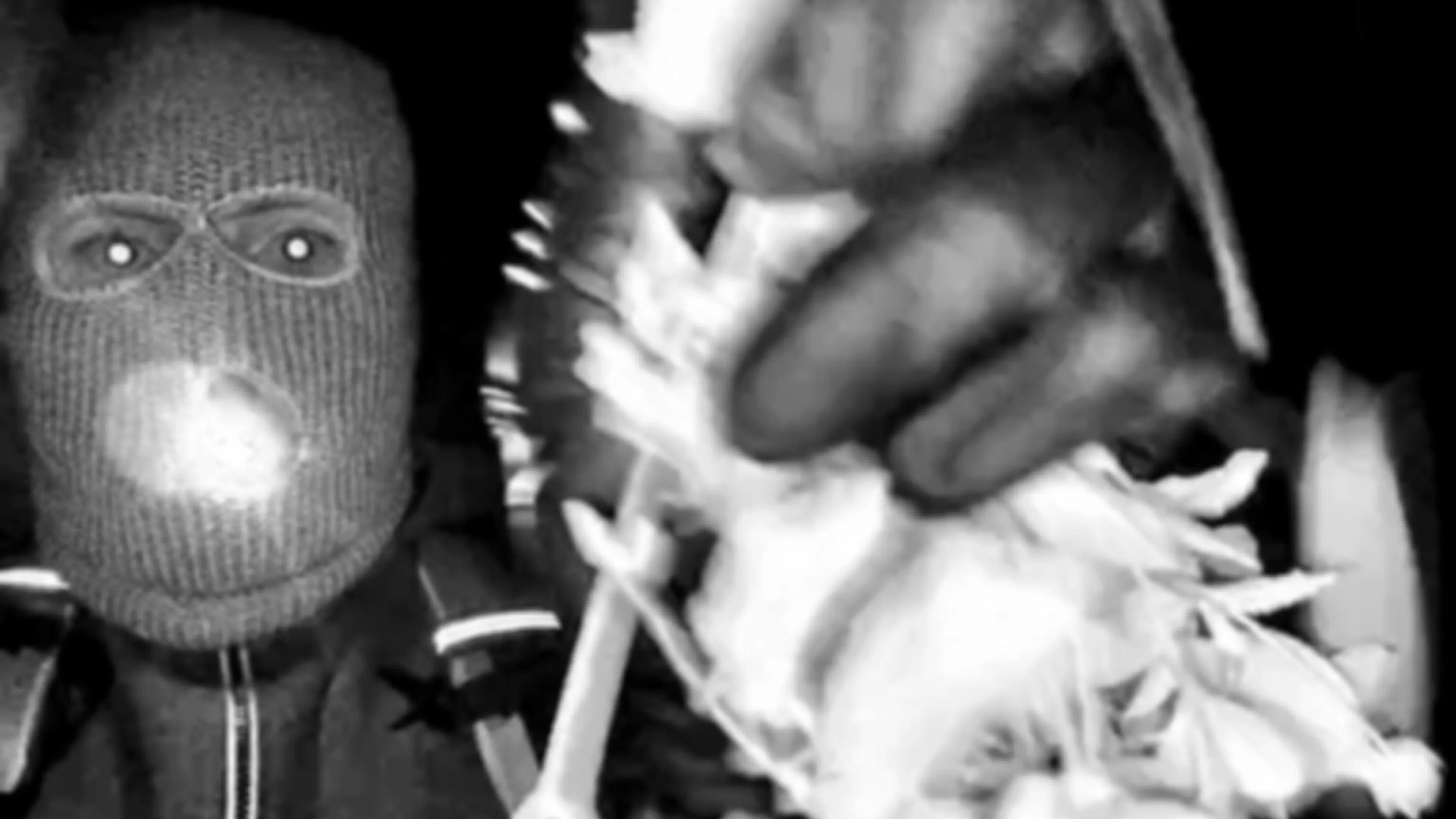 FBI deelt beelden mogelijke kidnapper 84-jarige Nancy Guthrie