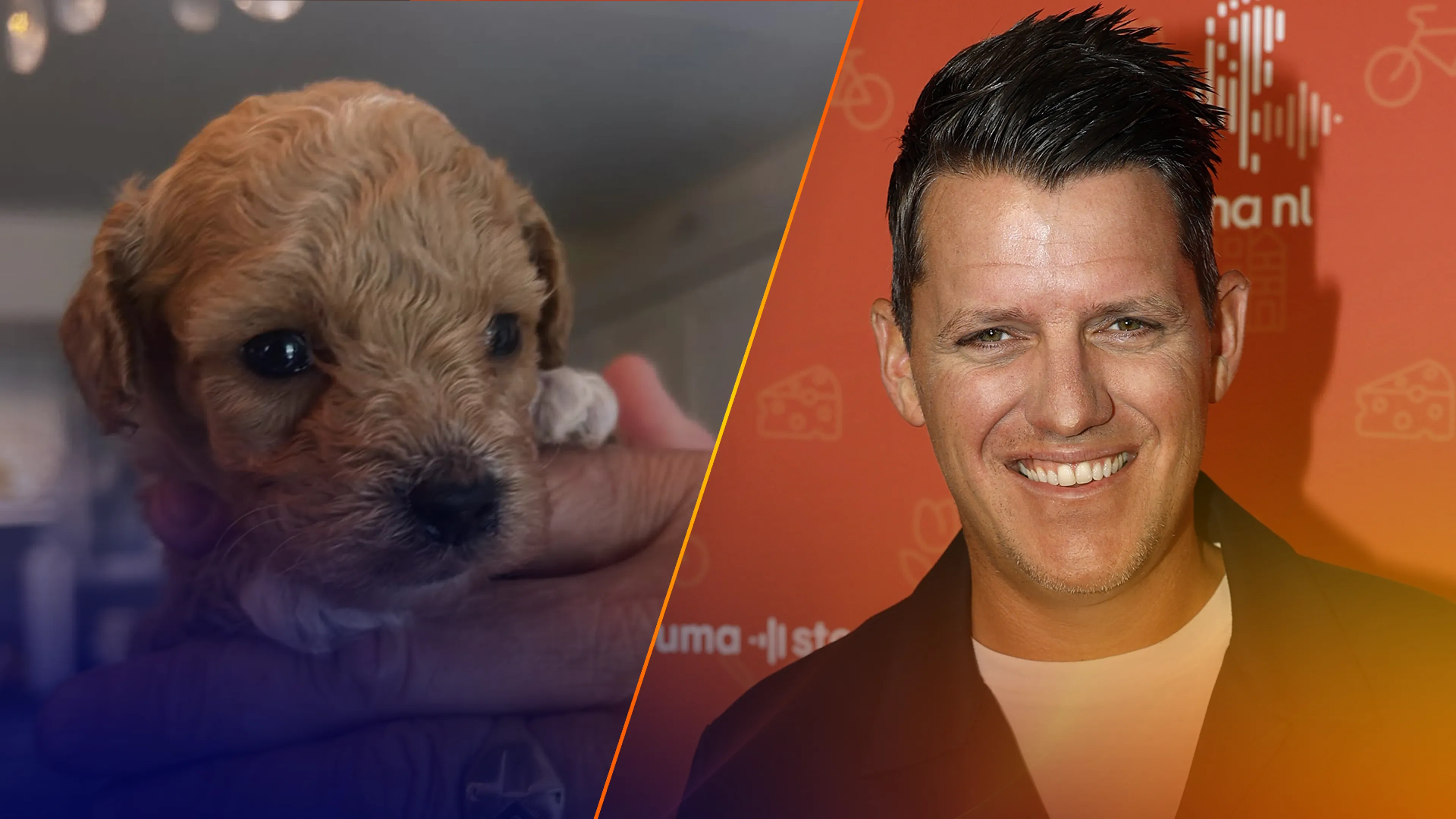 Dit is Flippie, de pasgeboren puppy van Kees Tol