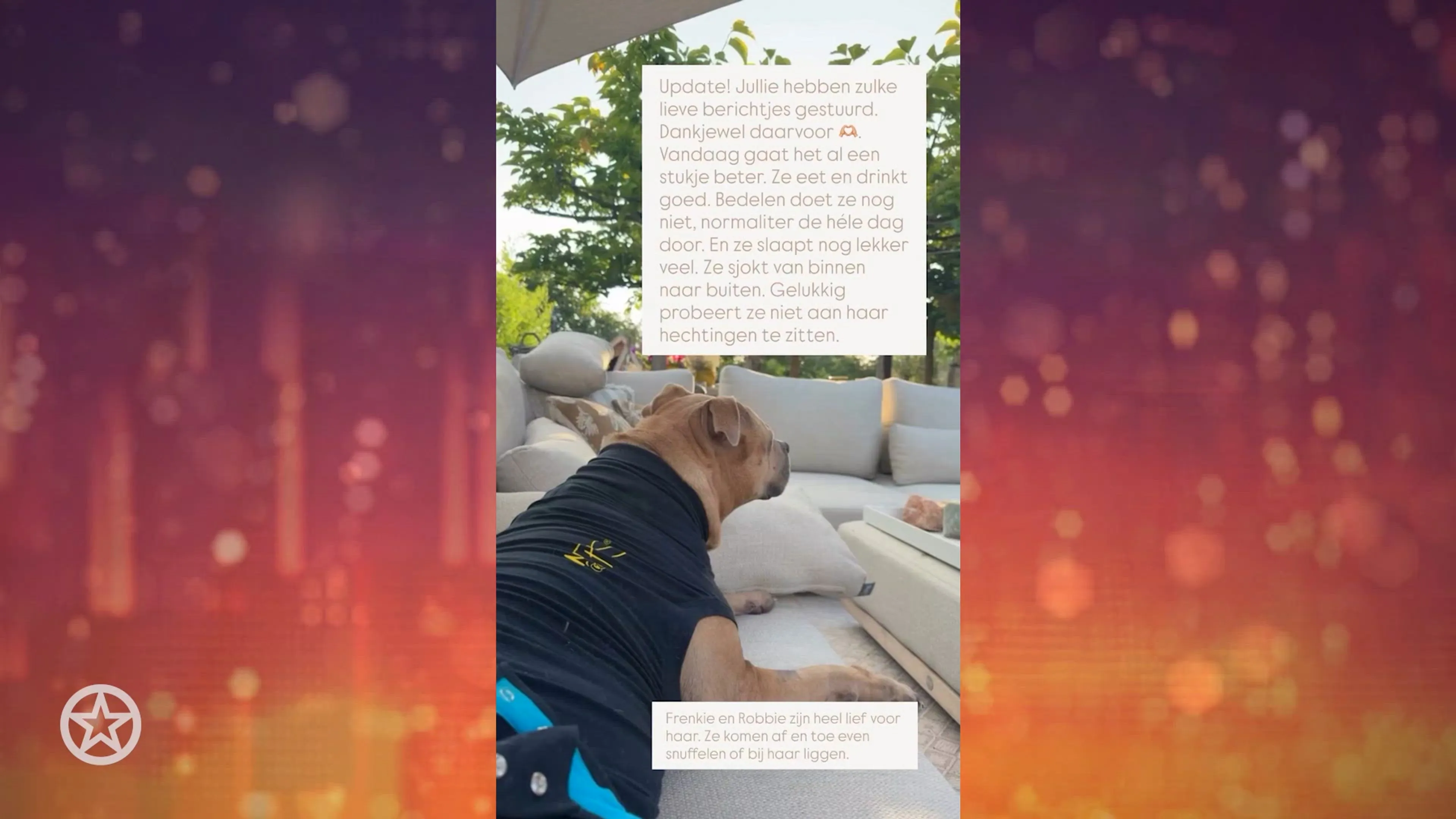 Monique Westenberg deelt hoopvolle update over hond Gioia