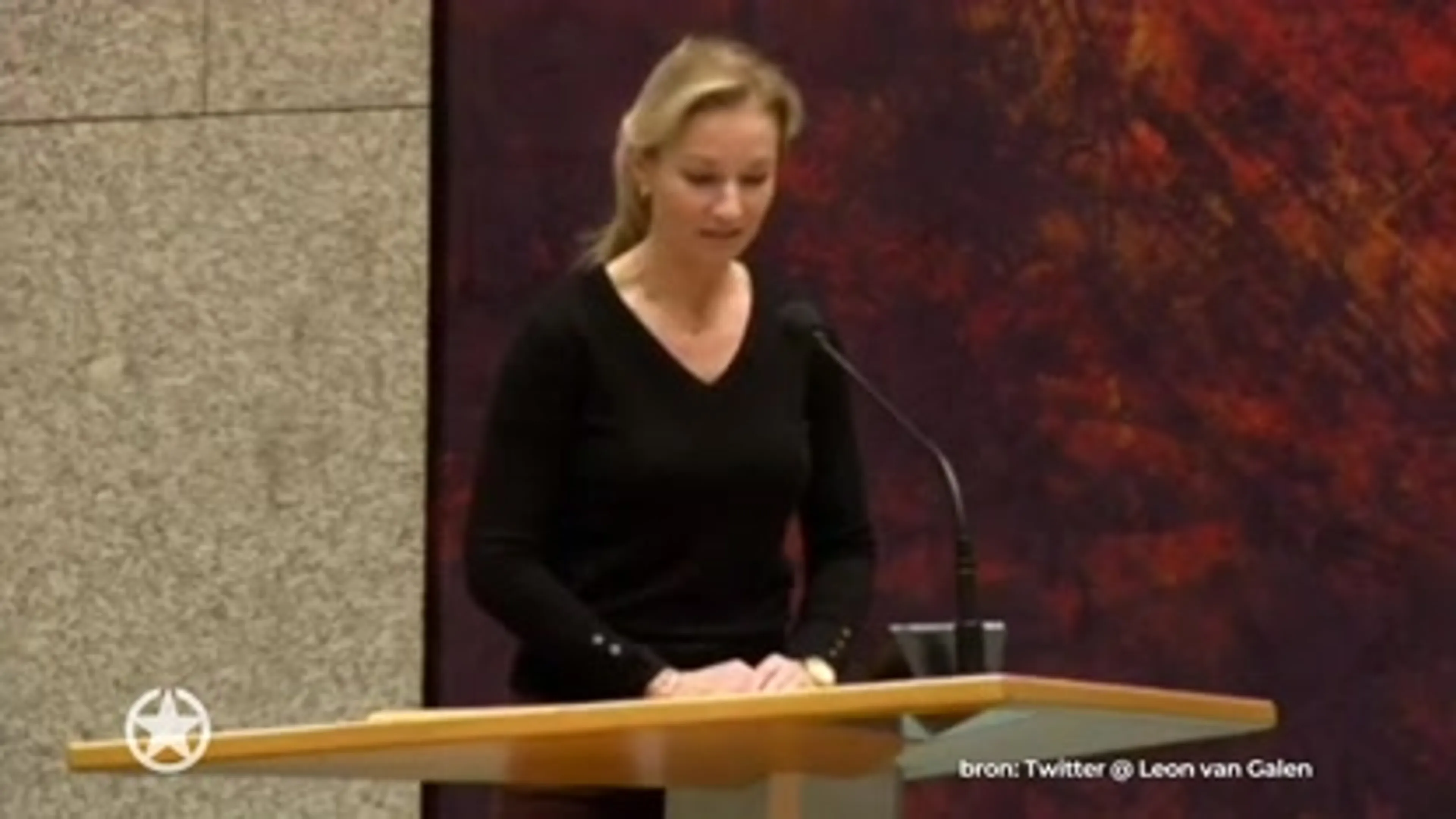 Tweede Kamer-lid wil te mannelijk woord genderneutraal maken