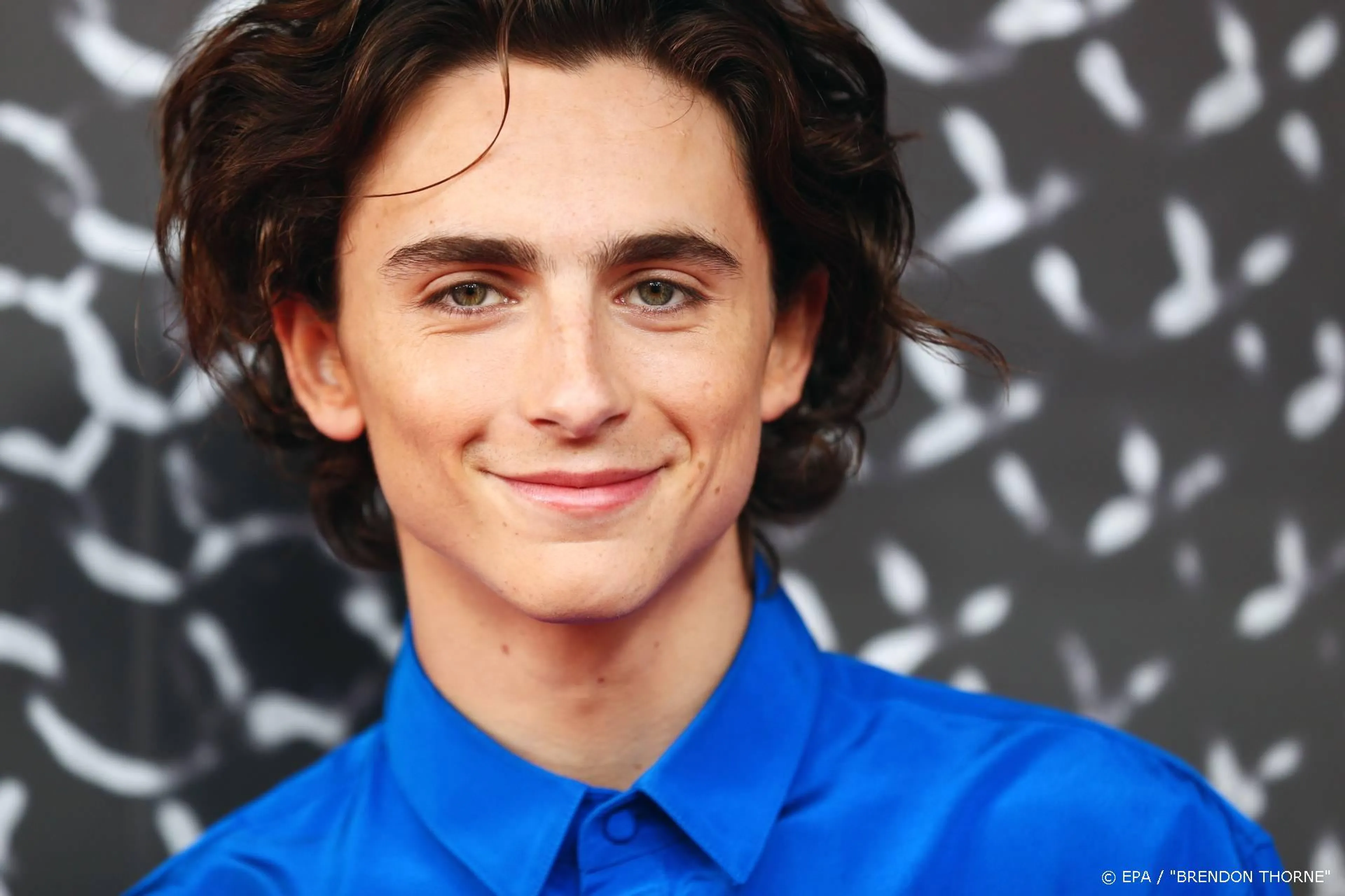 Timothee Chalamet gevraagd voor rol Bob Dylan in nieuwe film