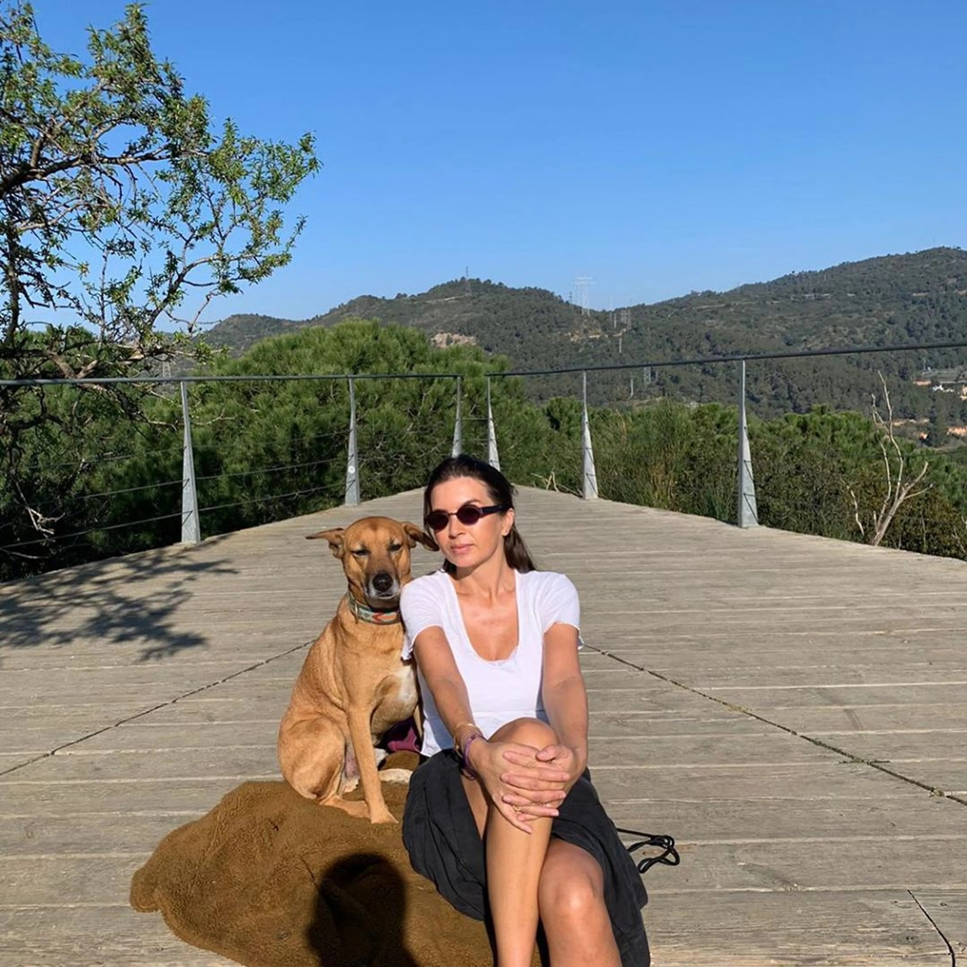 Kluivert Dog Rescue gaat over in Dierenbescherming Curaçao