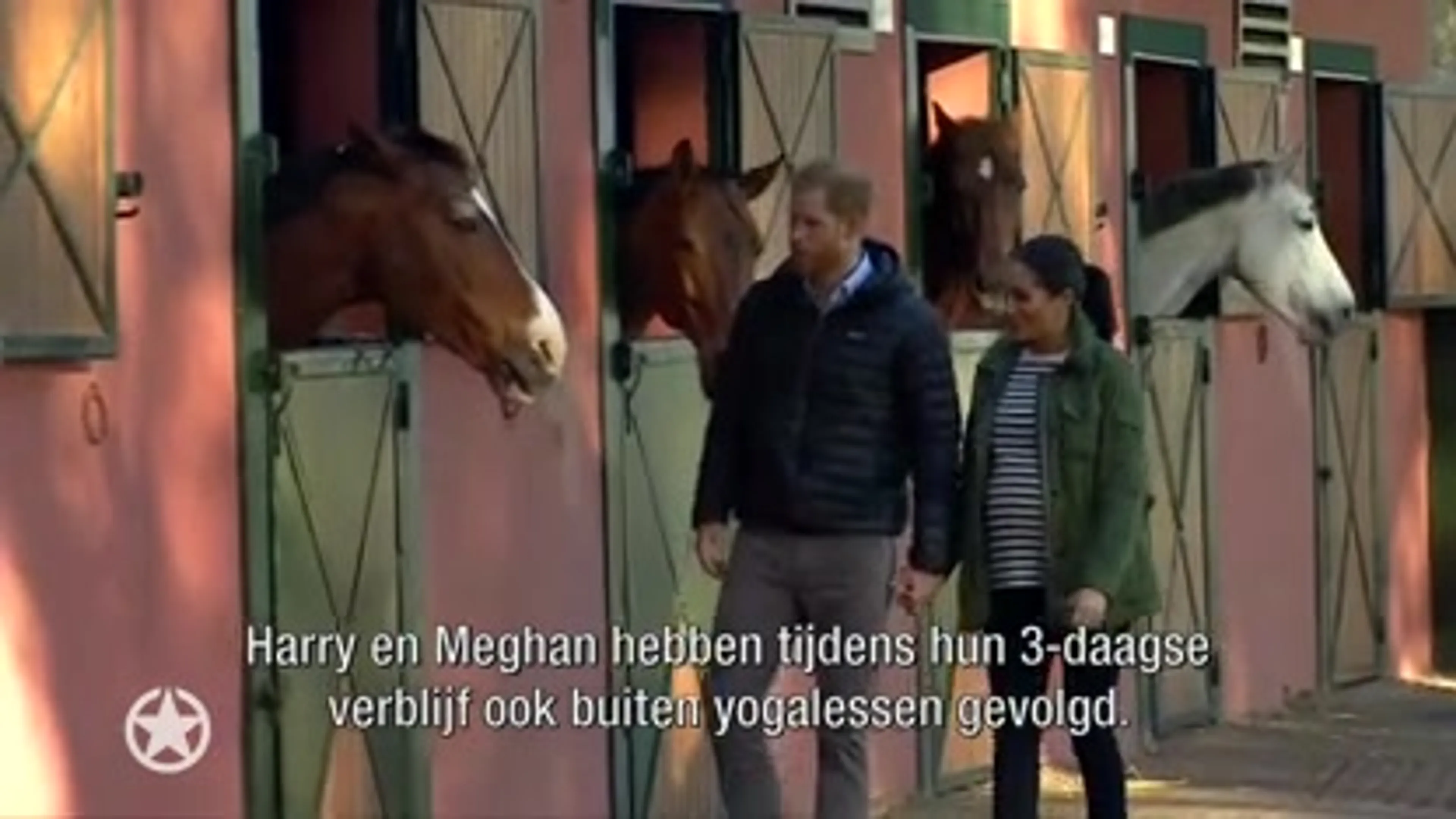 Harry en Meghan dankbaar voor ‘babyshower’