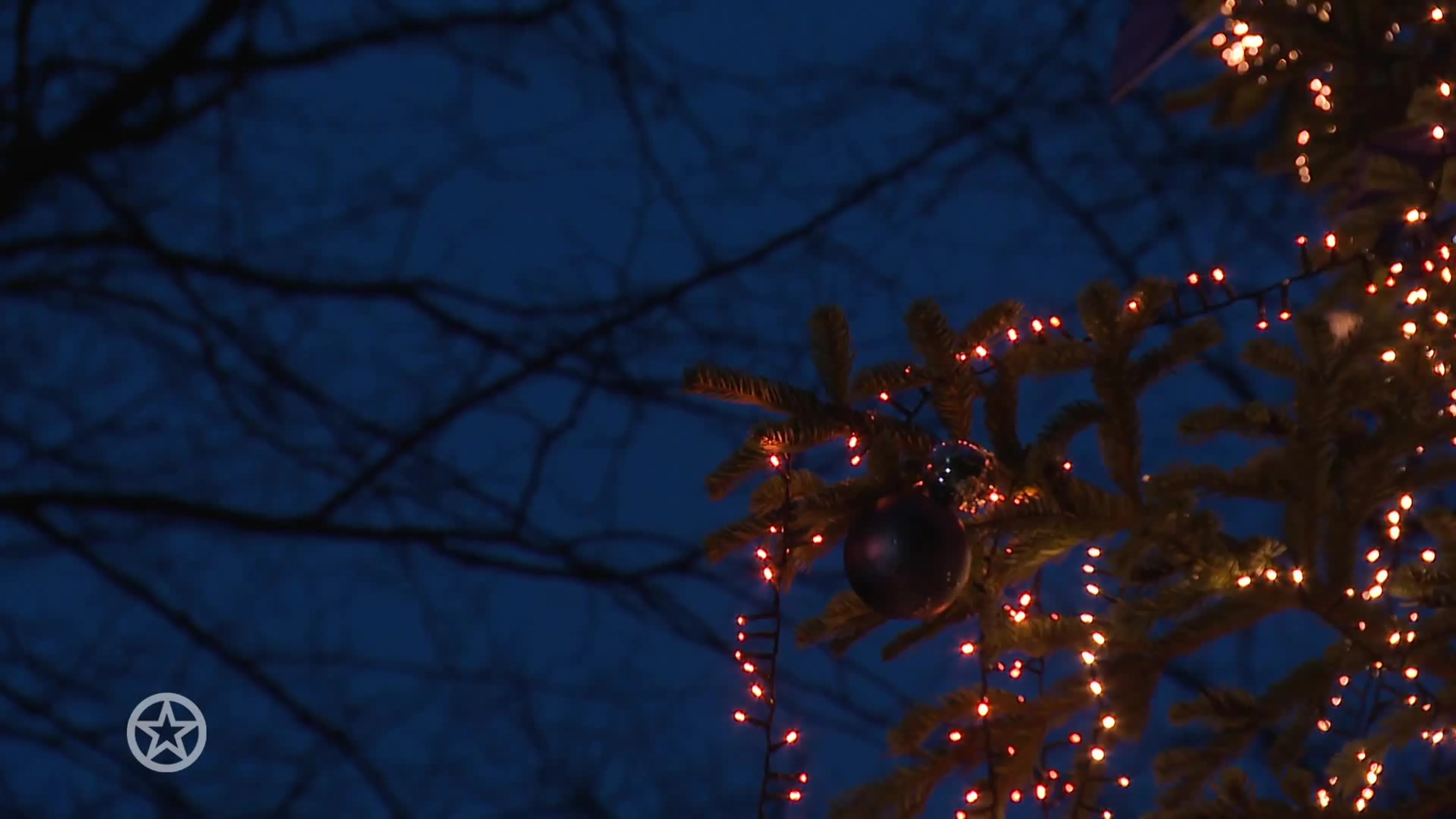 Tooske Ragas steekt de kerstboom van ons allemaal aan