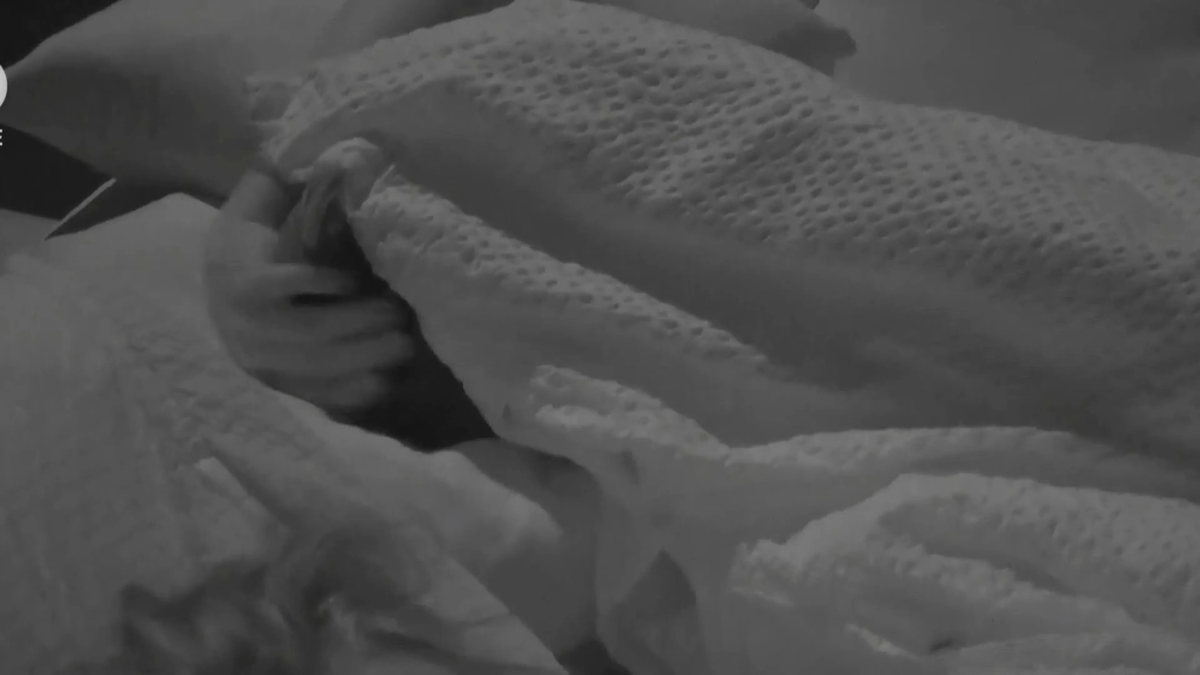 Nóg een liefdesbreuk in De Bondgenoten-loods, Roxy heeft seks met Robert