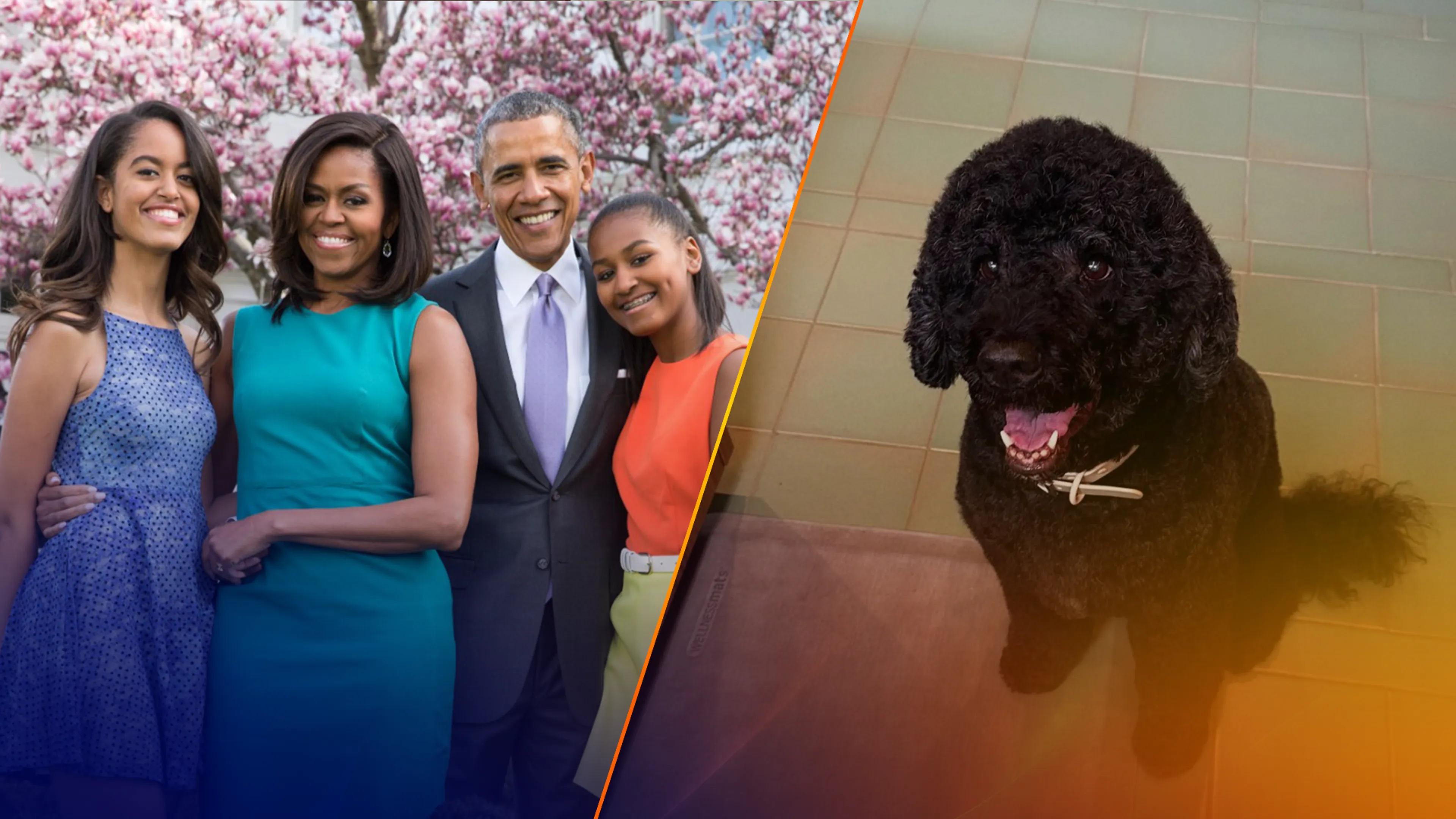 Familie Obama in diepe rouw om overleden hond