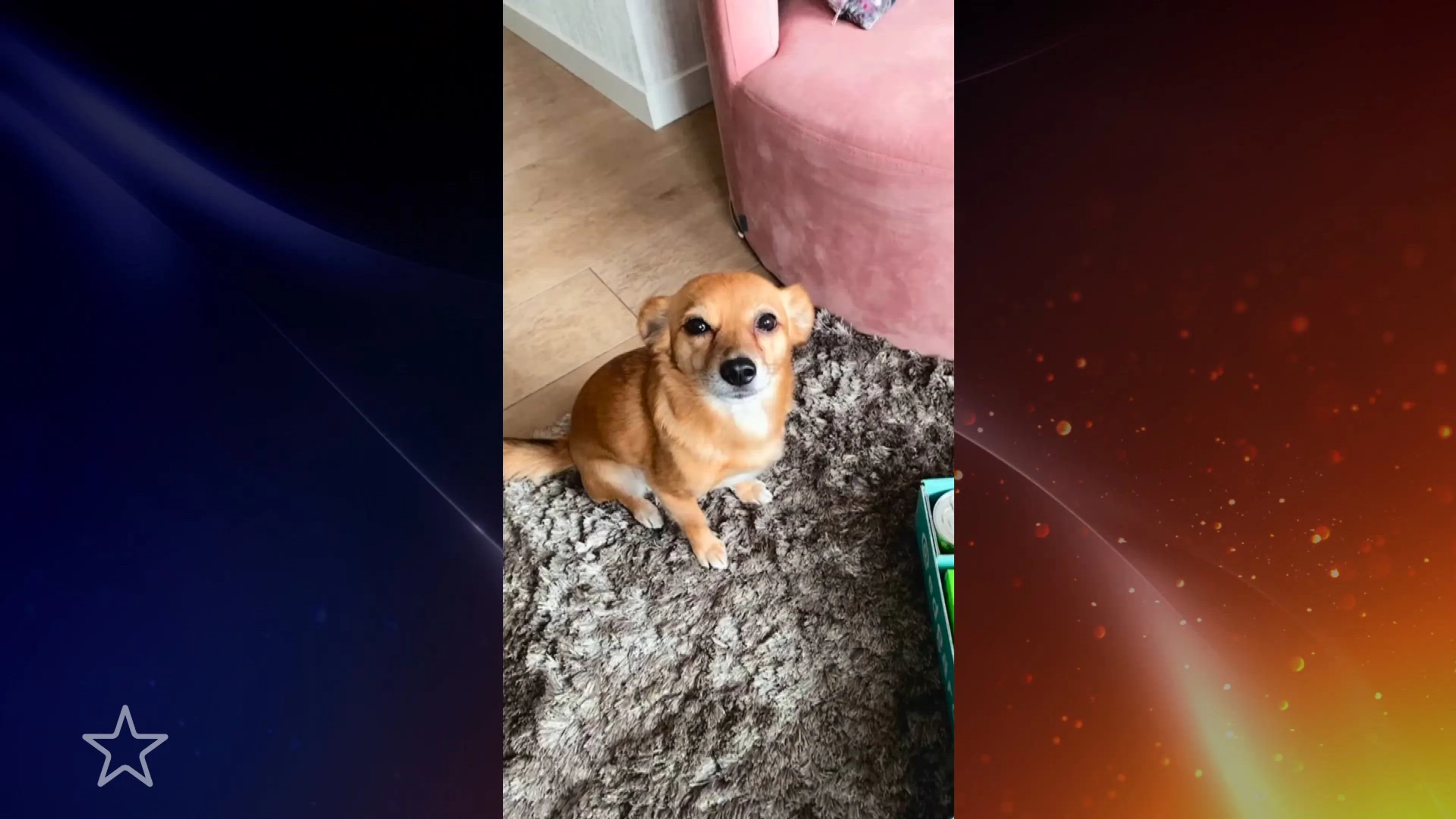Dionne Slagter deelt verdriet om overleden hond Dolly
