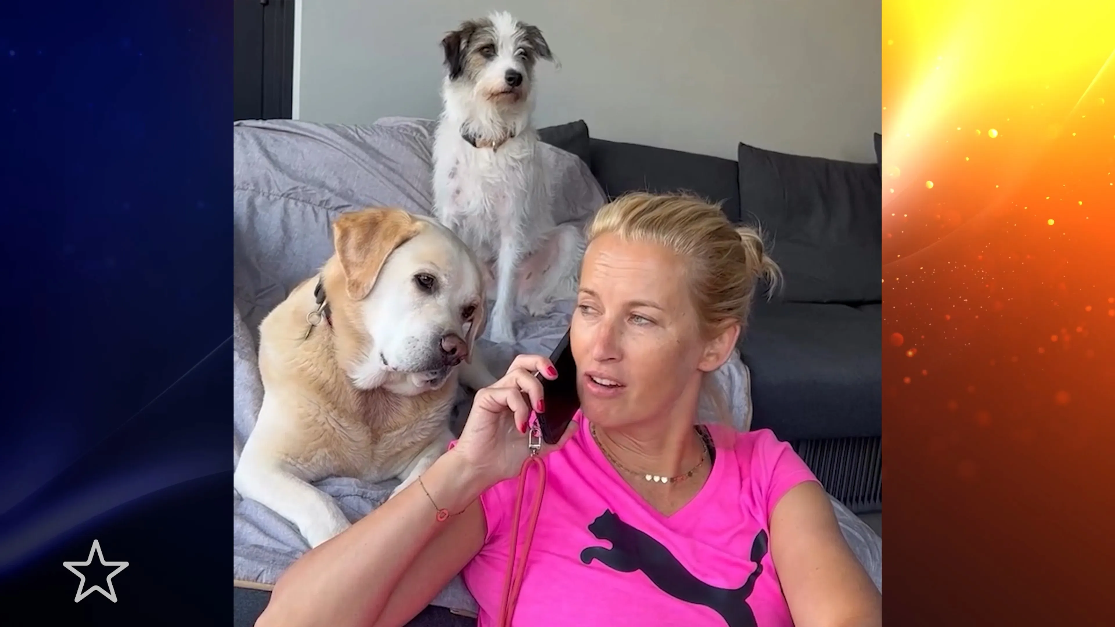 Hondjes Anouk Smulders horen interessant telefoongesprek