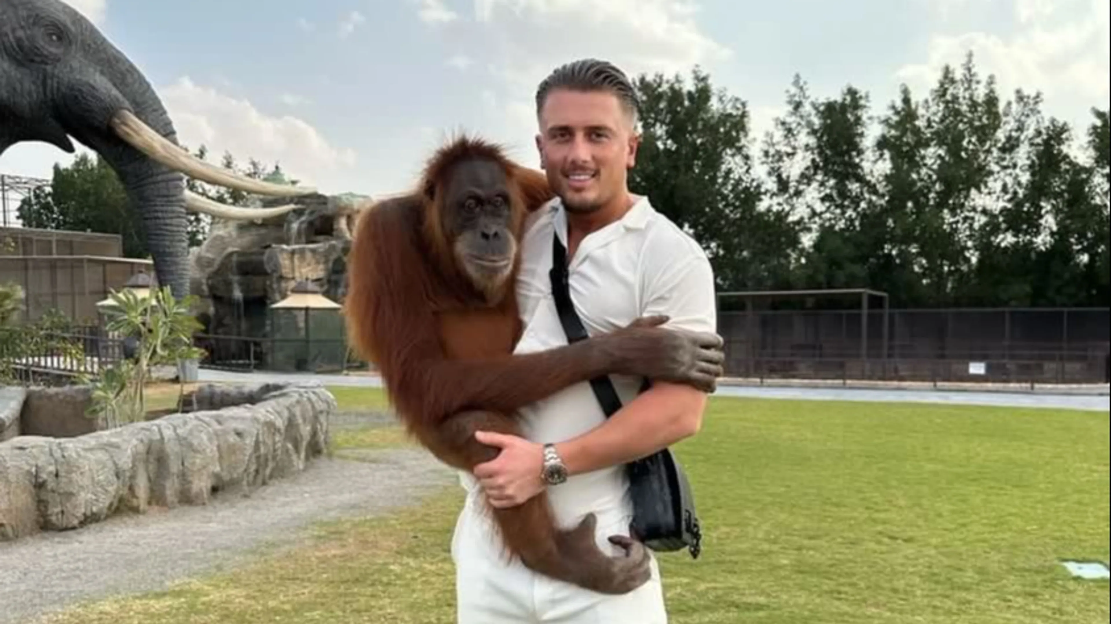 Dekhengst Harrie geschrokken van kritiek dierenleed: 'Echte dierenvriend'