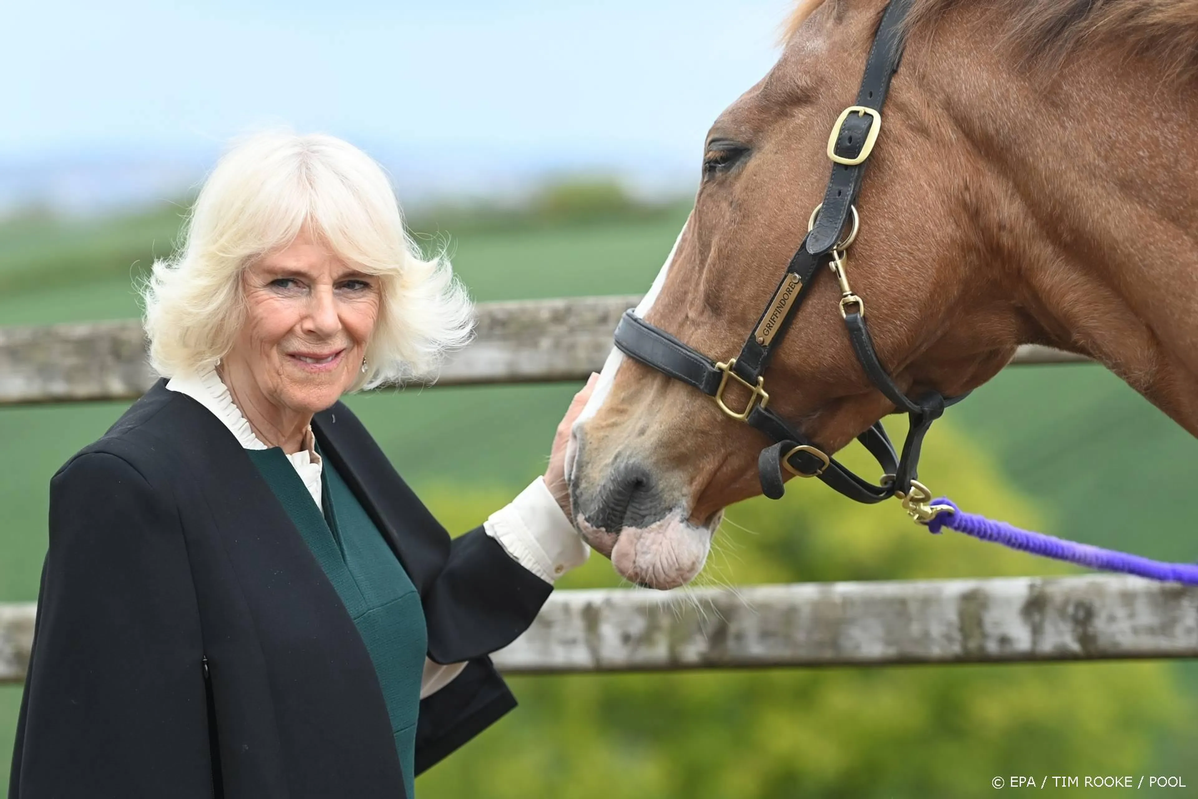 Camilla wil best een rol als lijk in Britse detectiveserie Grace