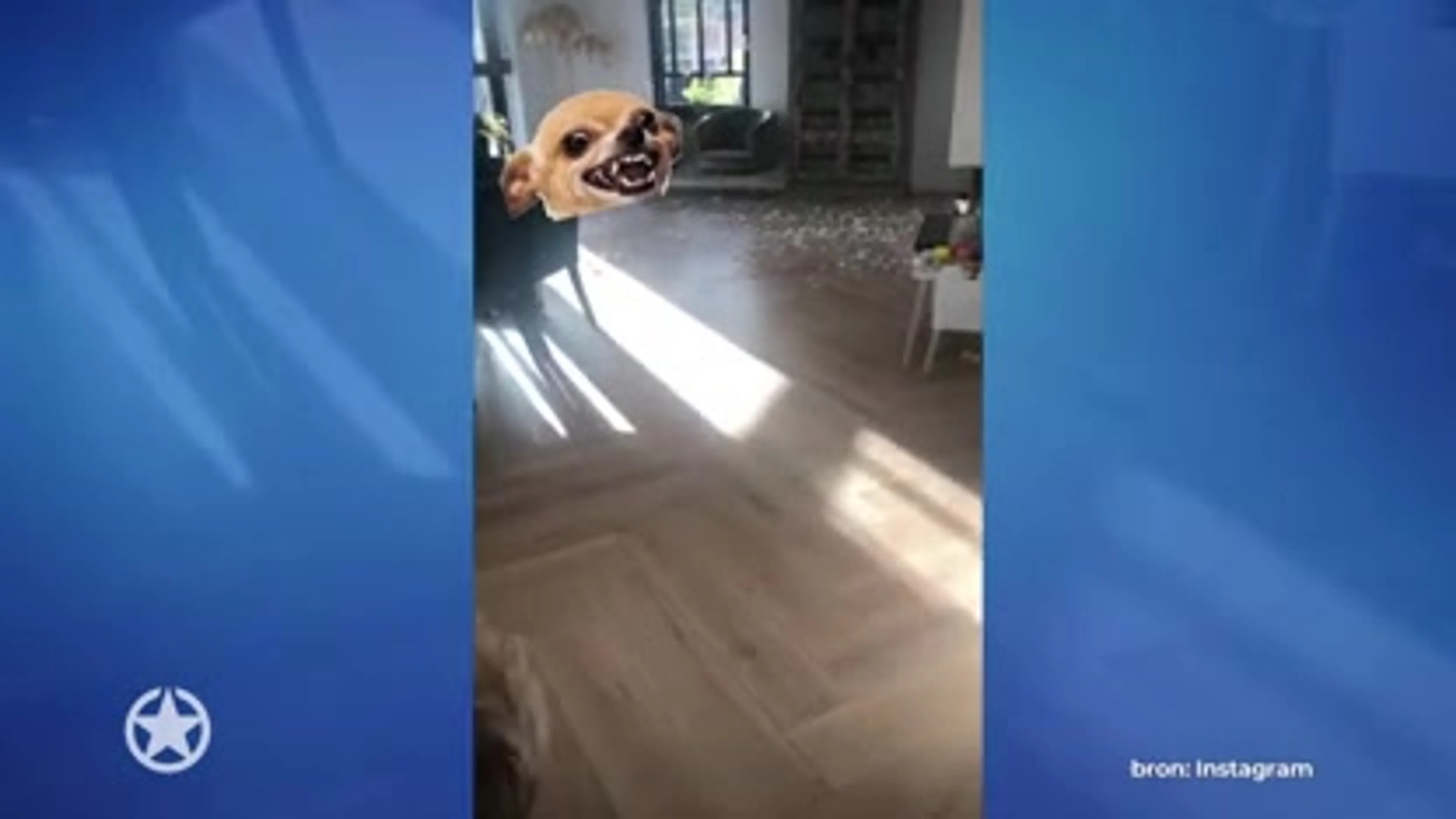 Monique in shock: 'Wie heeft dit gedaan?'