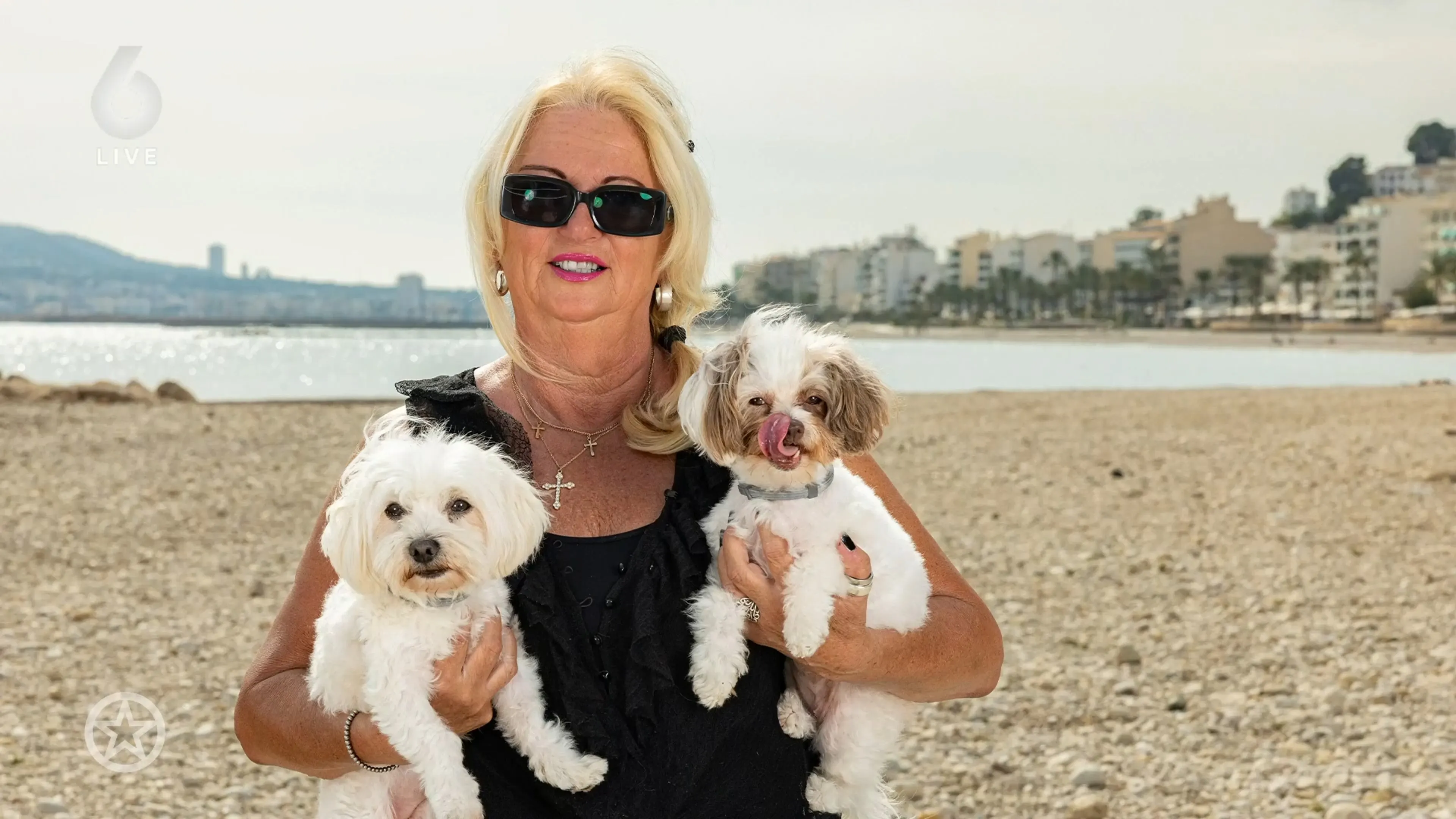 Familie Hansler ziet Beach Club Tammies tijdelijk op slot gaan