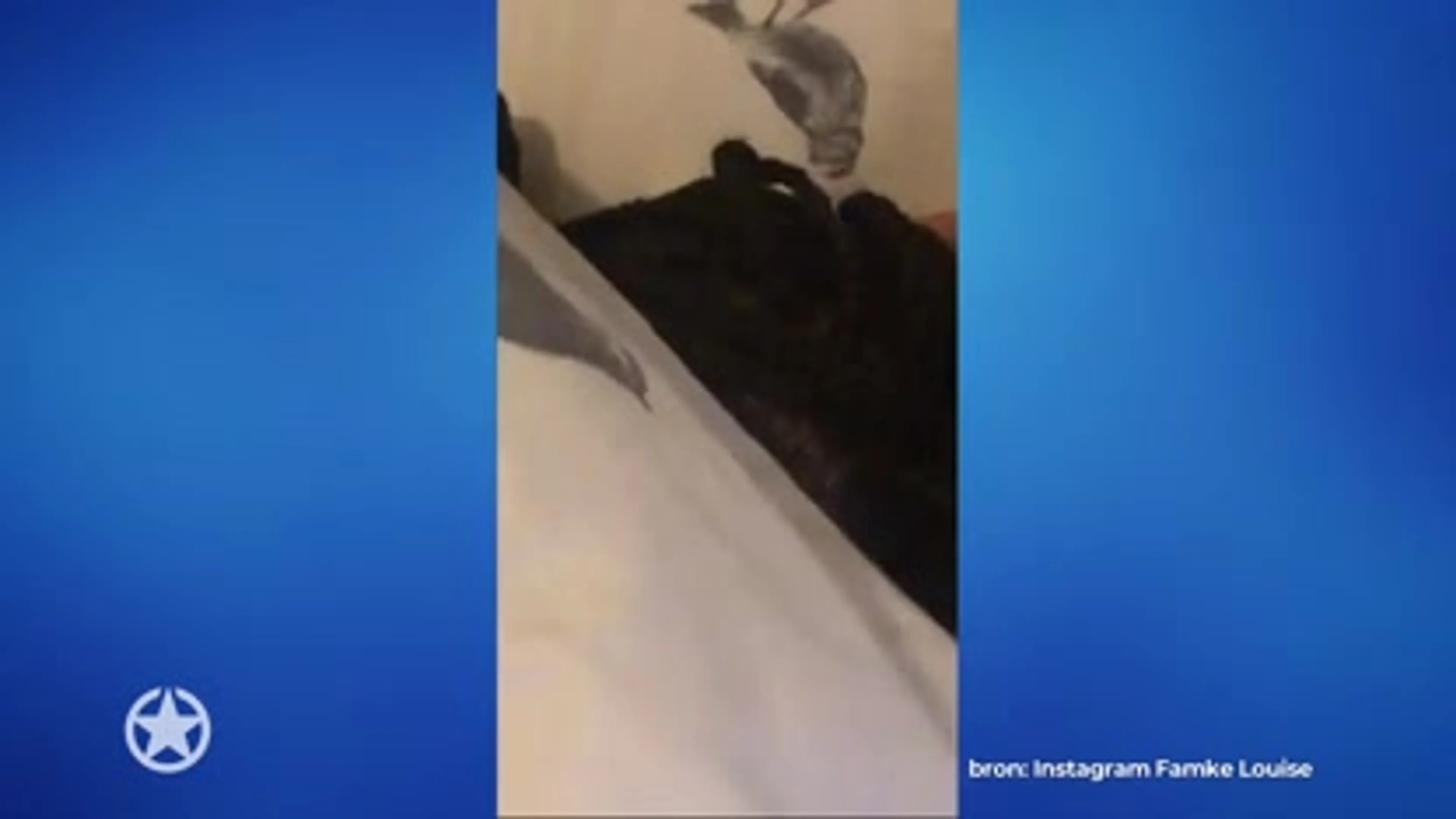 Ligt Ronnie Flex weer bij Famke Louise in bed?!