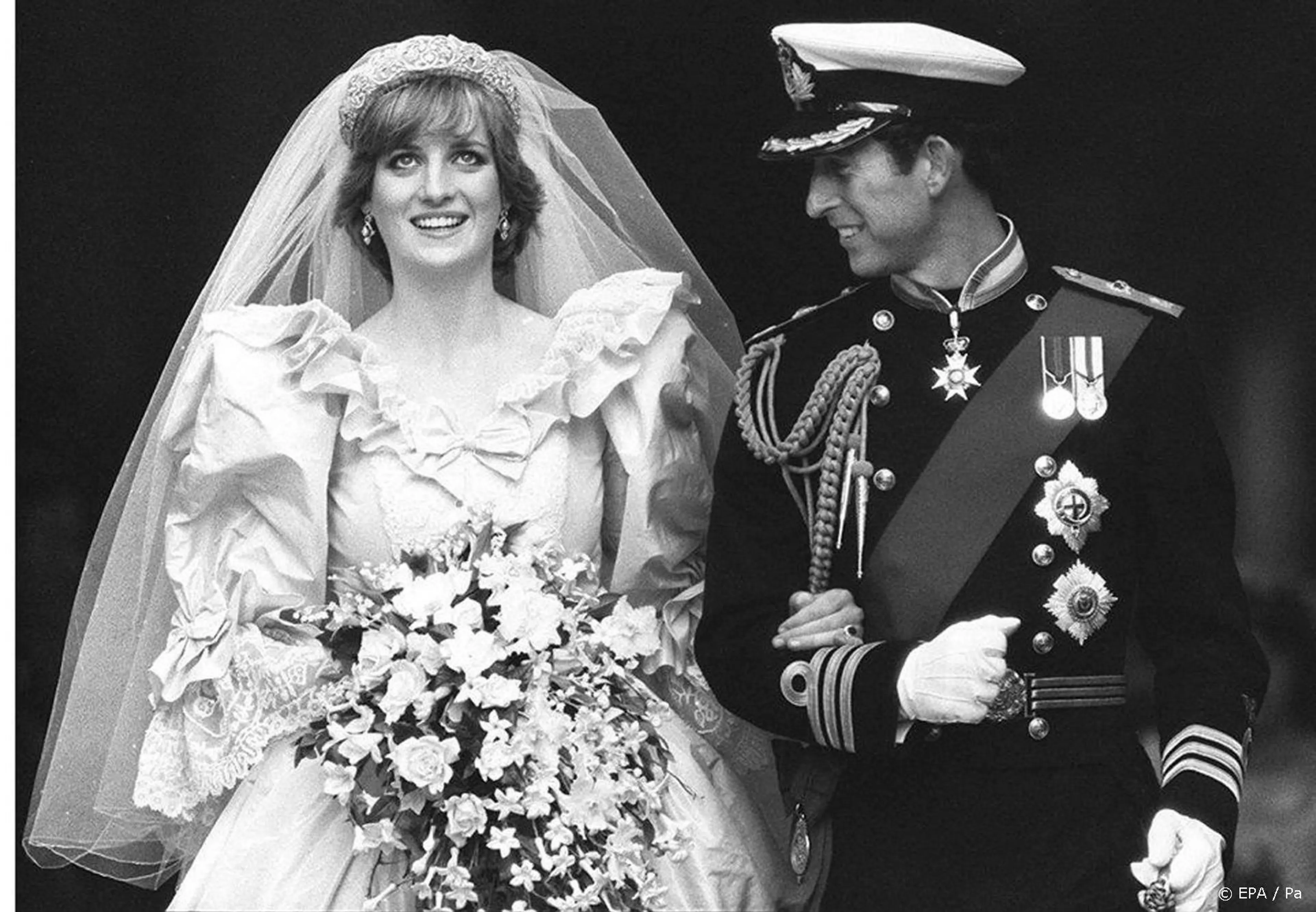 'Bruidsmeisje Diana en Charles ook op sekseiland Epstein'