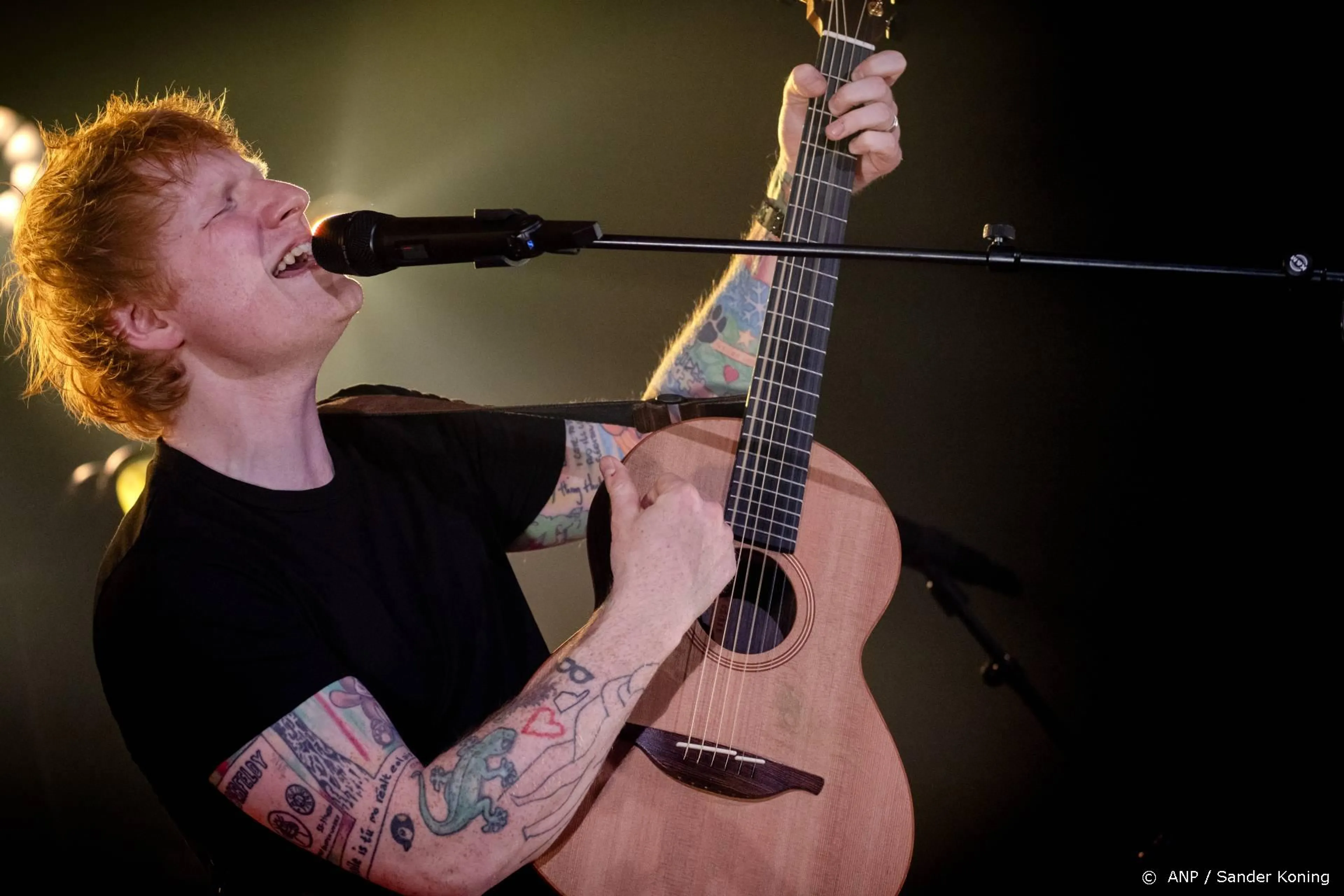 Gitaar Ed Sheeran levert 61.000 euro op