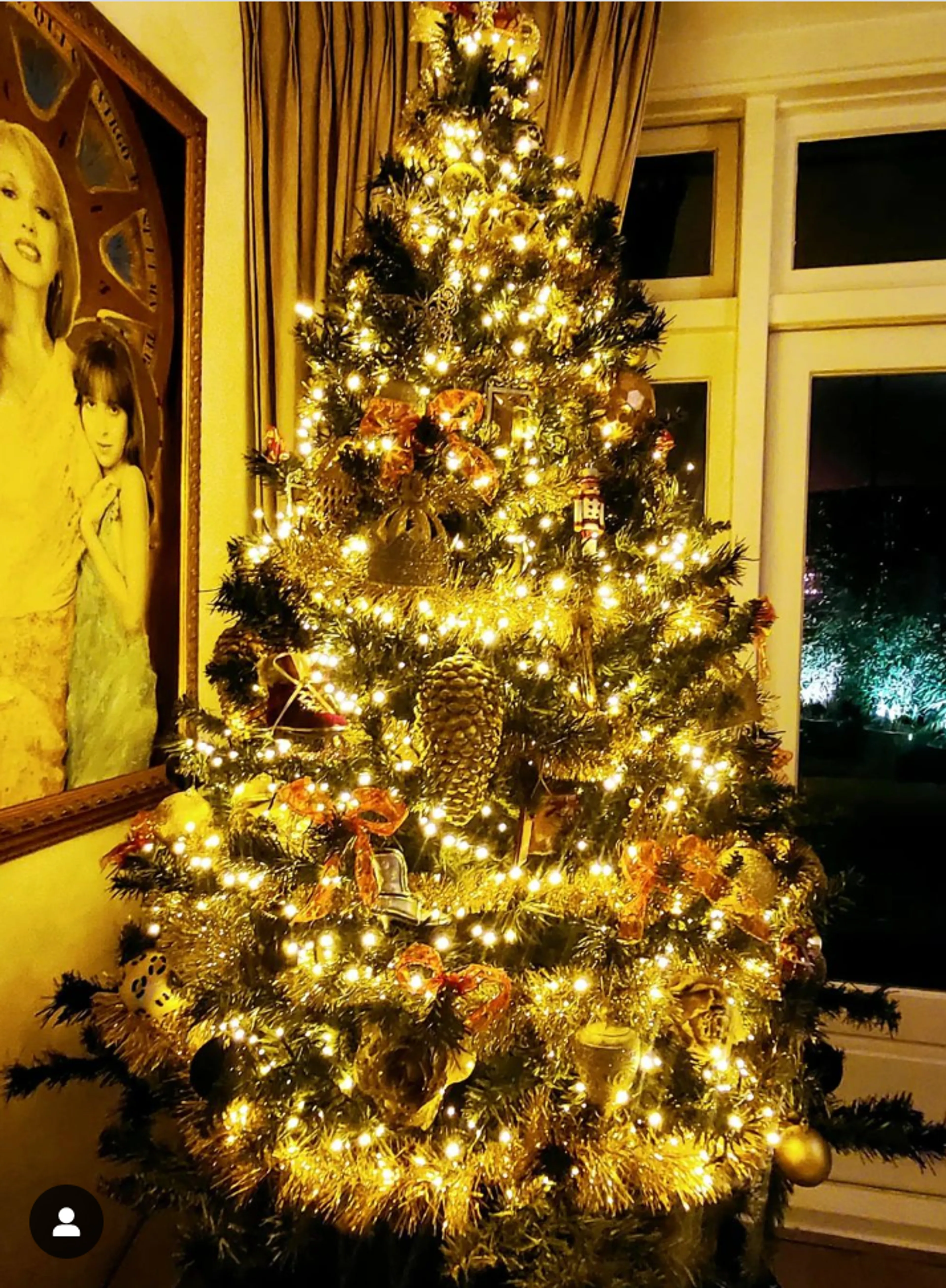 Dit zijn de mooiste kerstbomen van de sterren